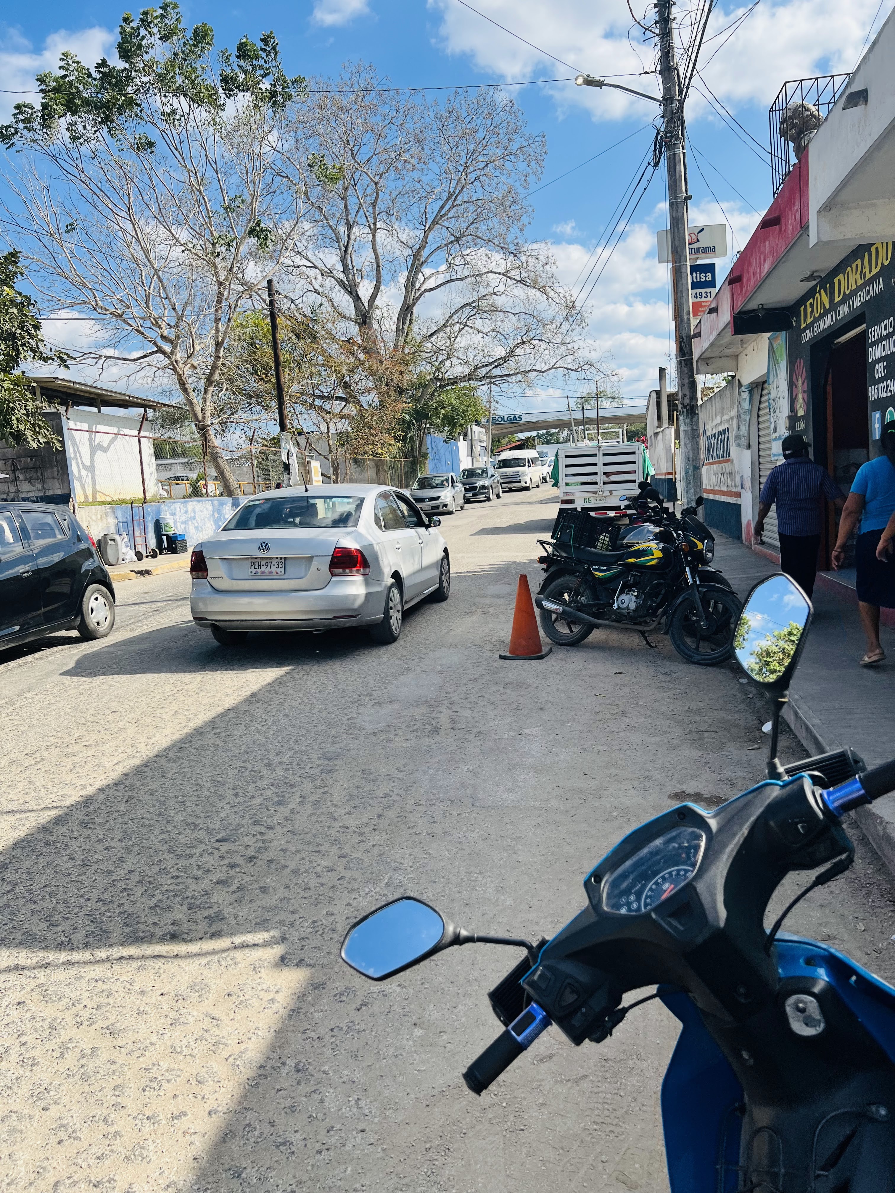 Leon Dorado Tizimin image 3