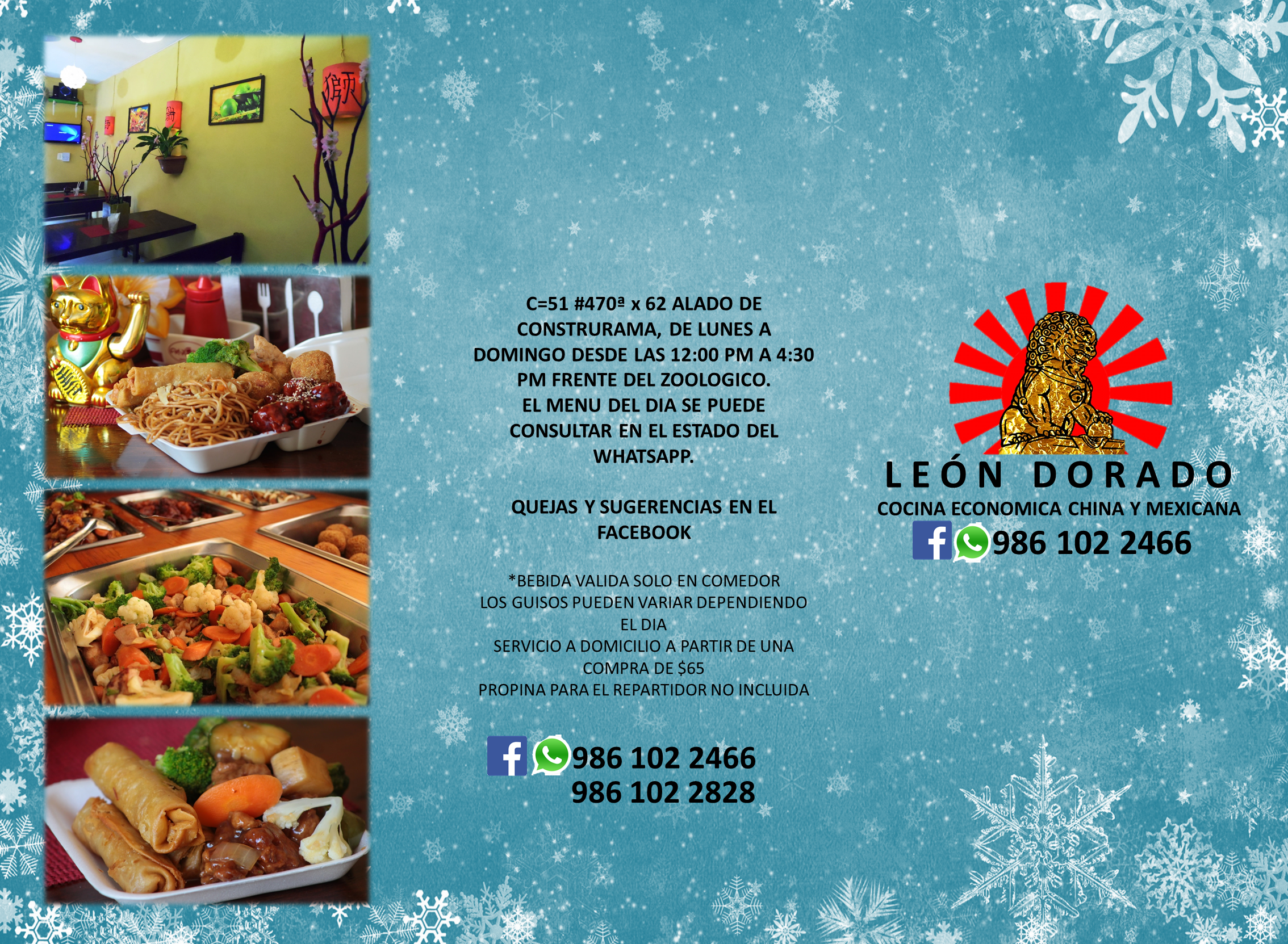 Leon Dorado Tizimin image 4