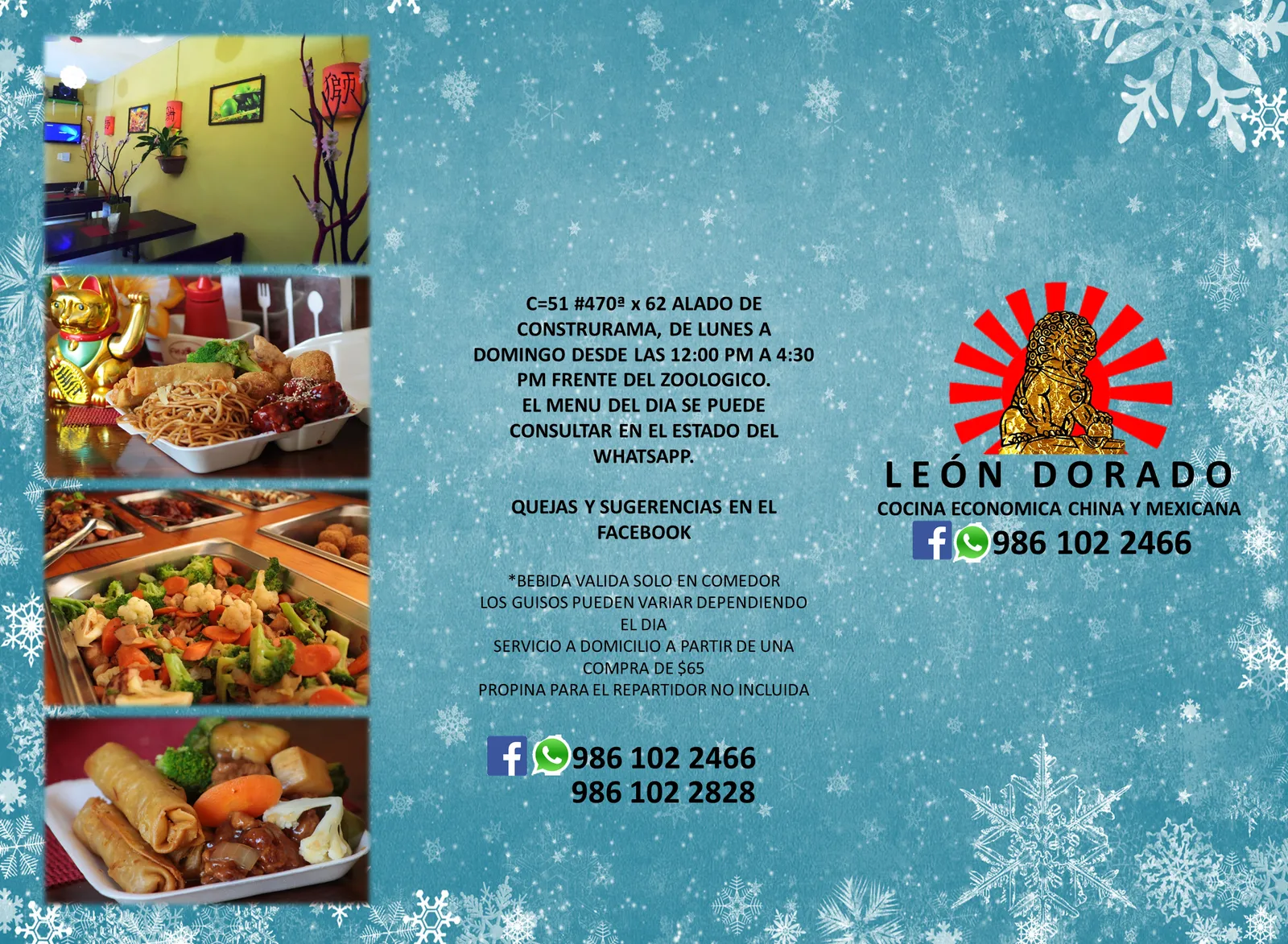 Leon Dorado Tizimin image 4