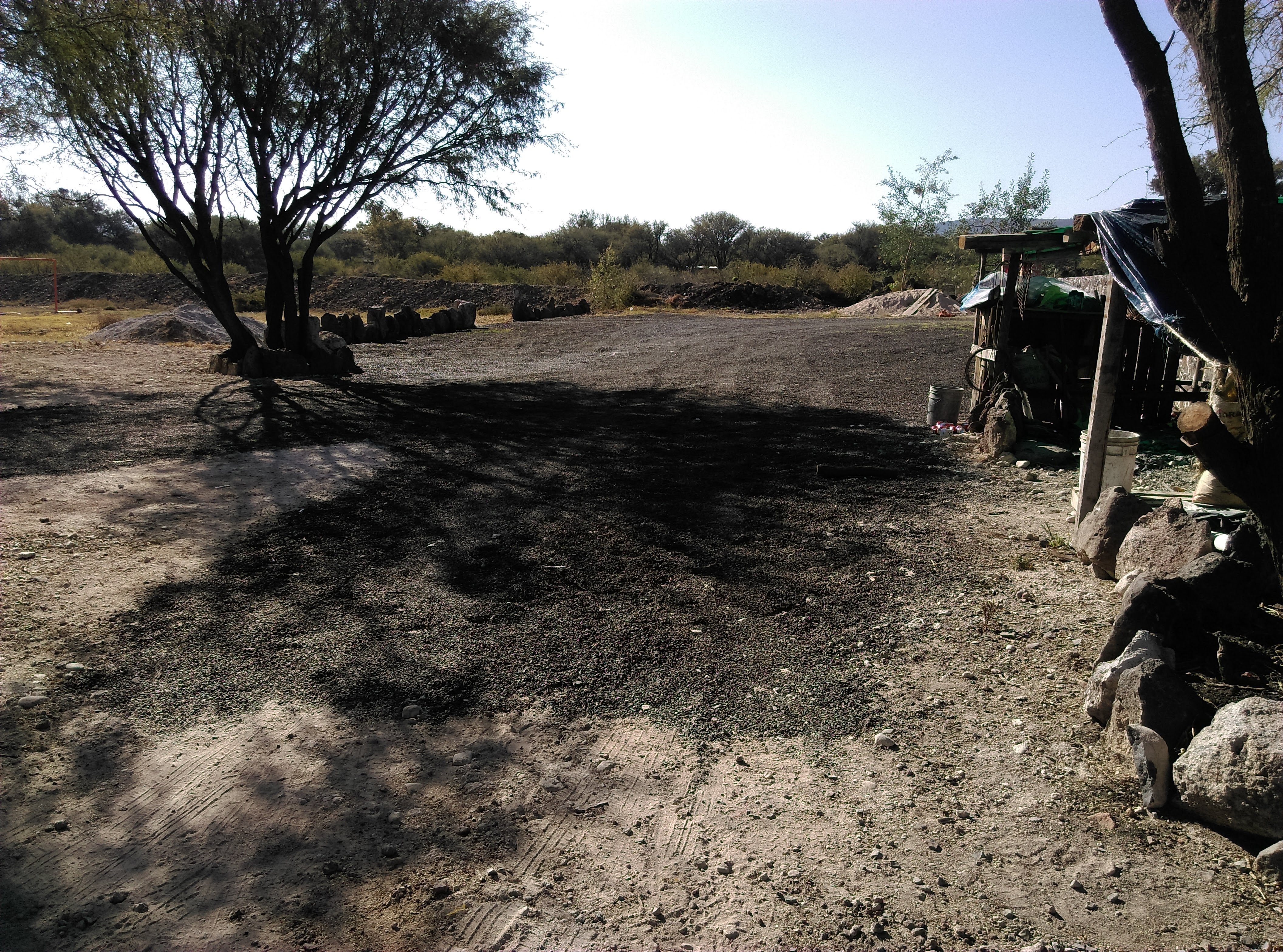 Barbacoa y mariscos image 4