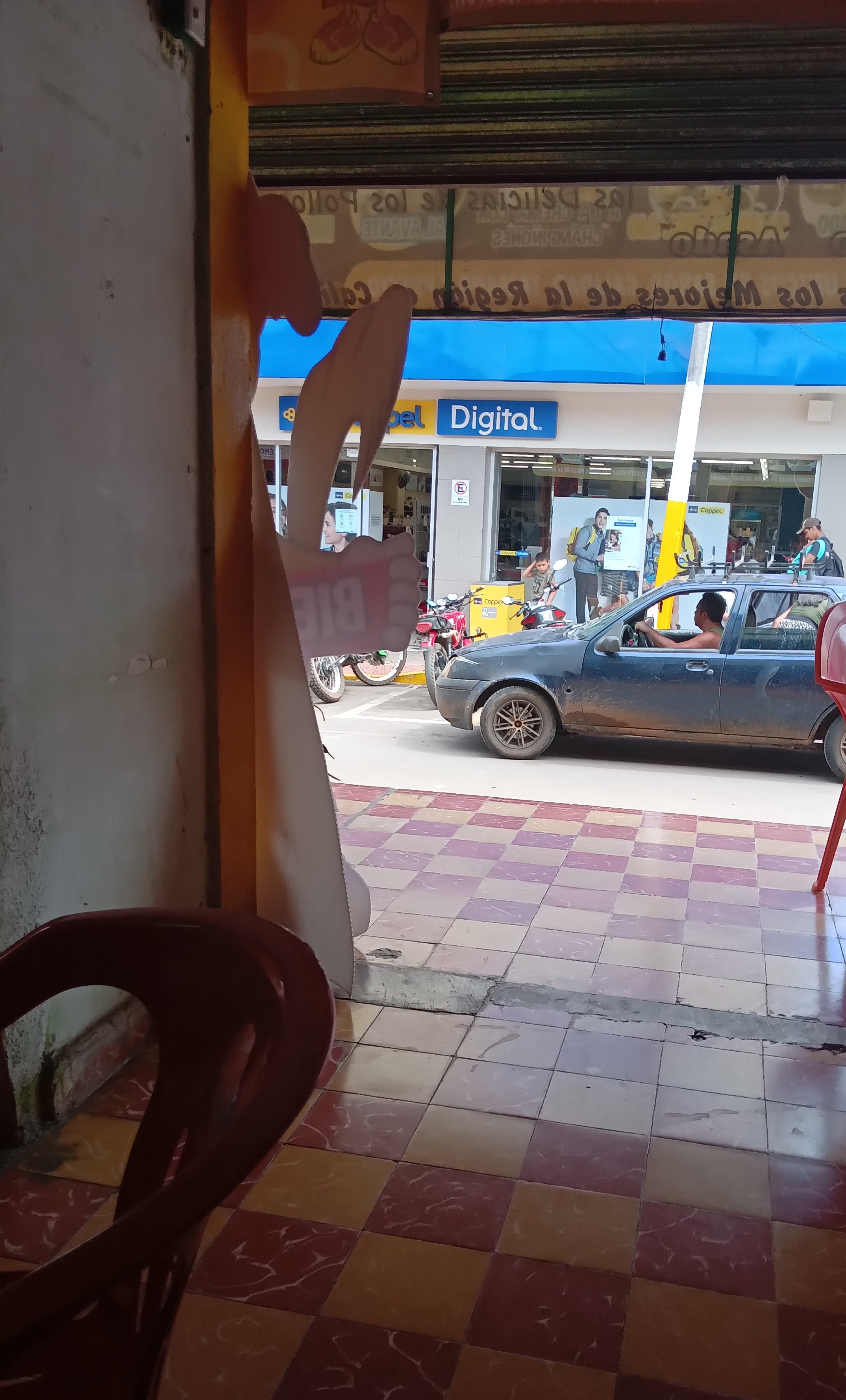 Costi-pollo de omealca image 5