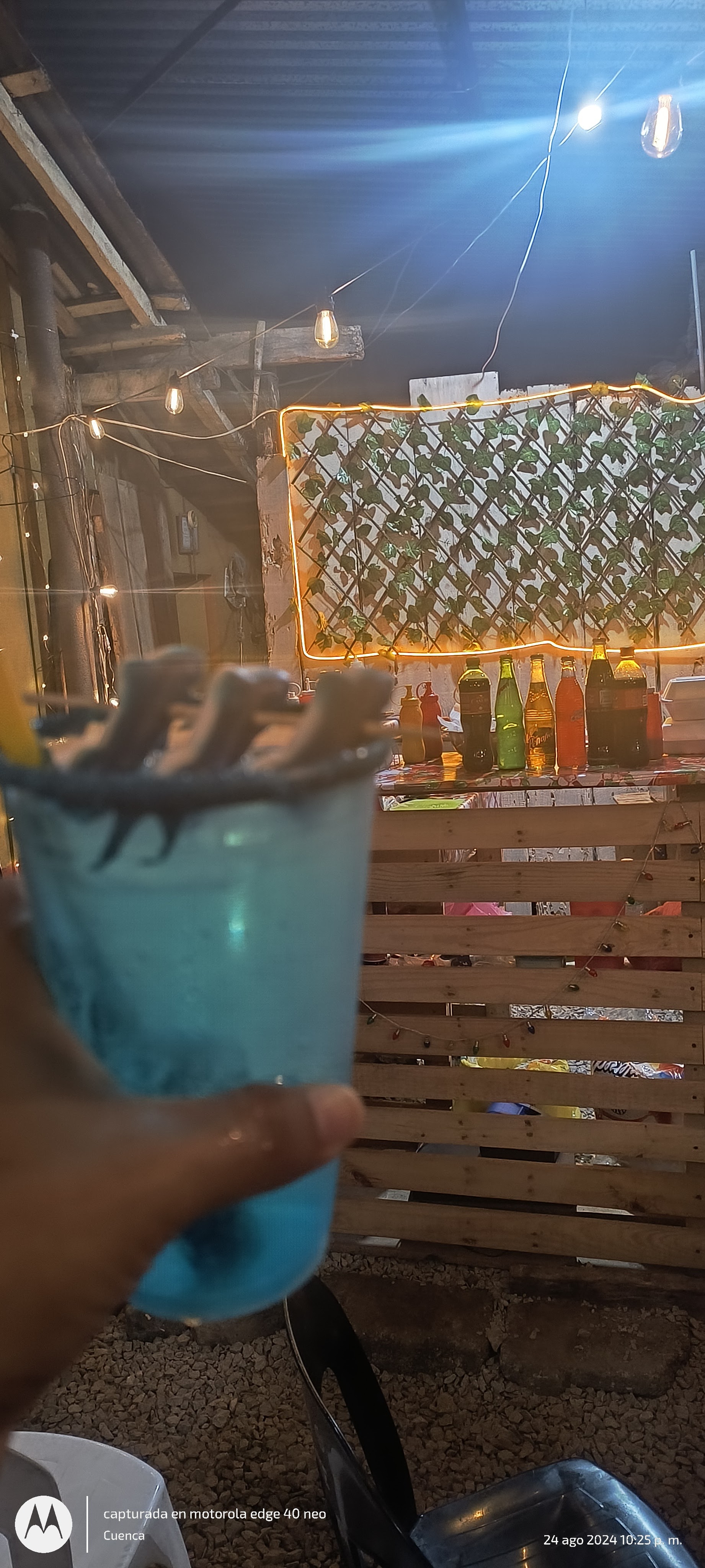 La Galera 3M image 7