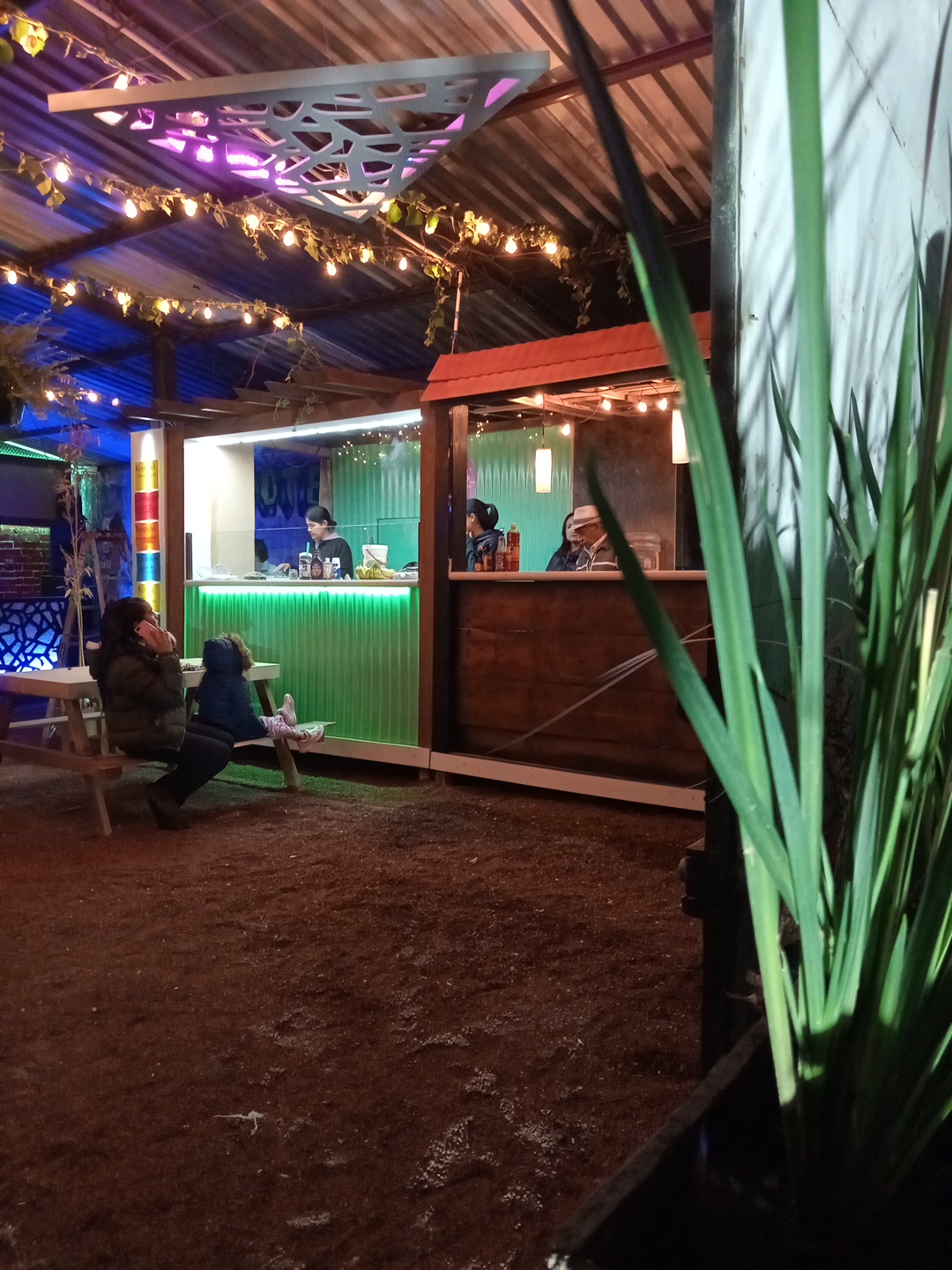 FOOD GARDEN "EL PACHUCO" image 1