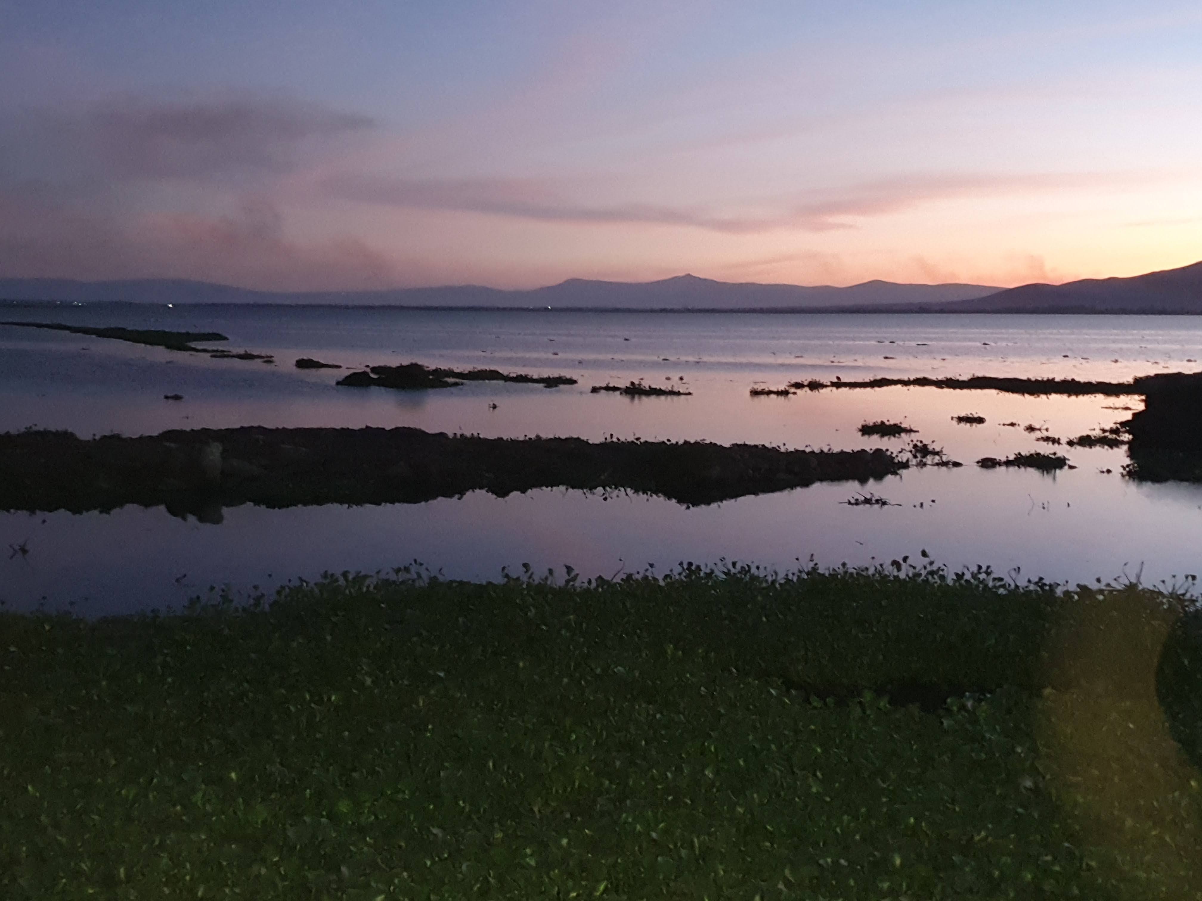 Cazuelas Grill Teuchitlán image 4