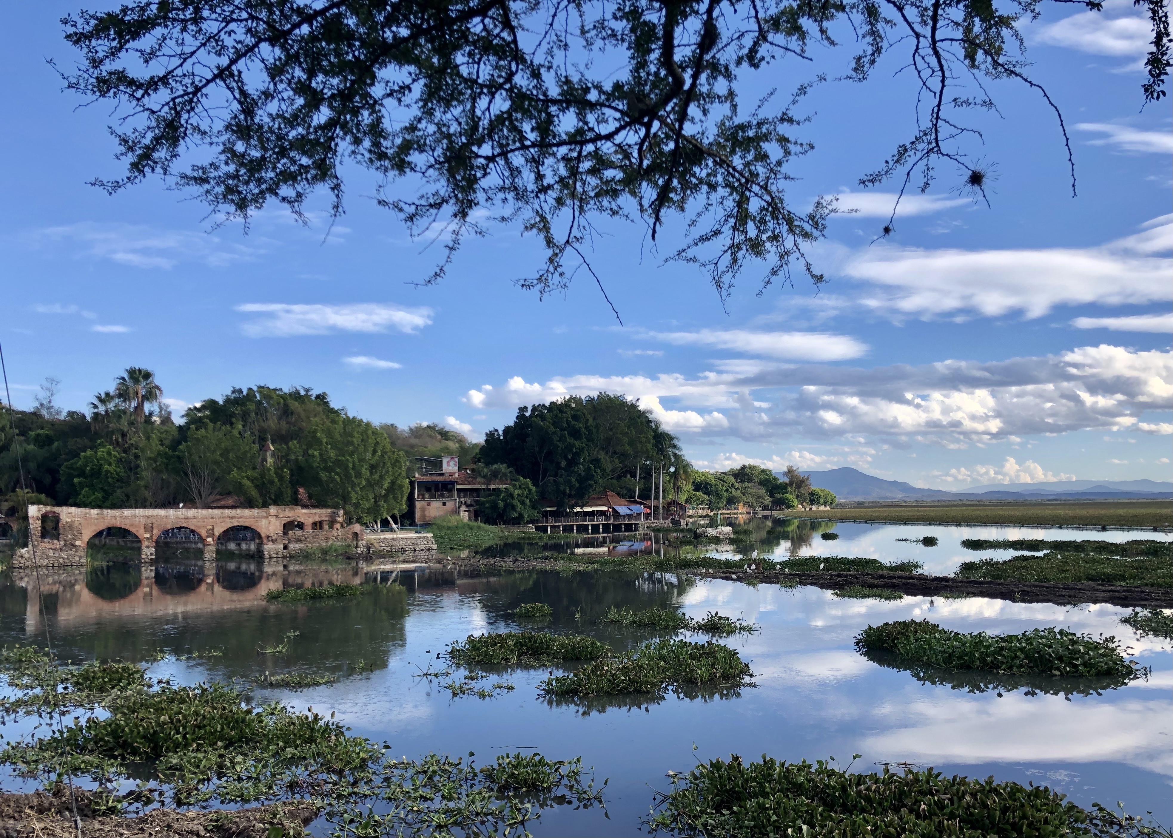 Cazuelas Grill Teuchitlán image 5