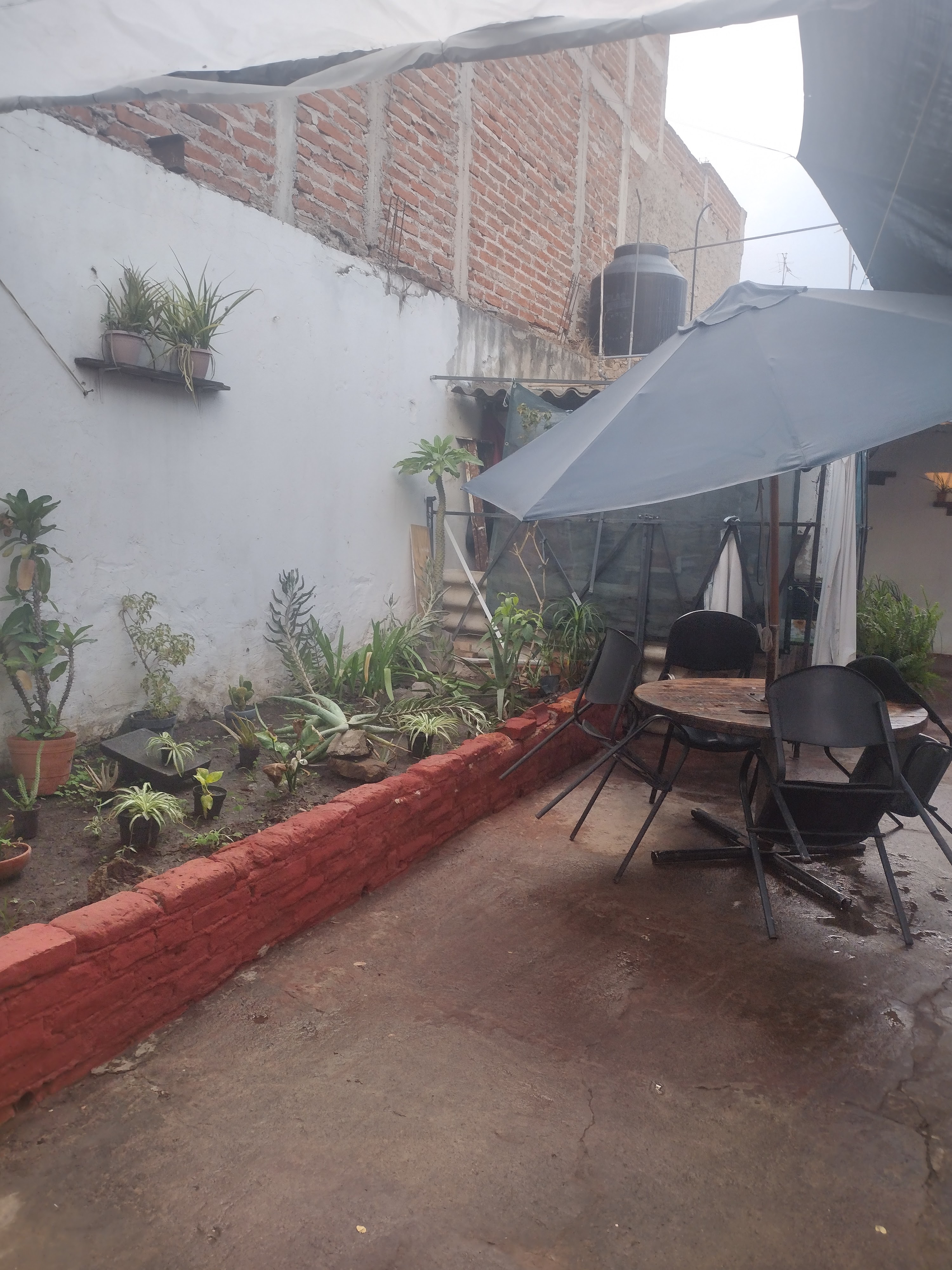 Menuderia mi Pueblito image 1