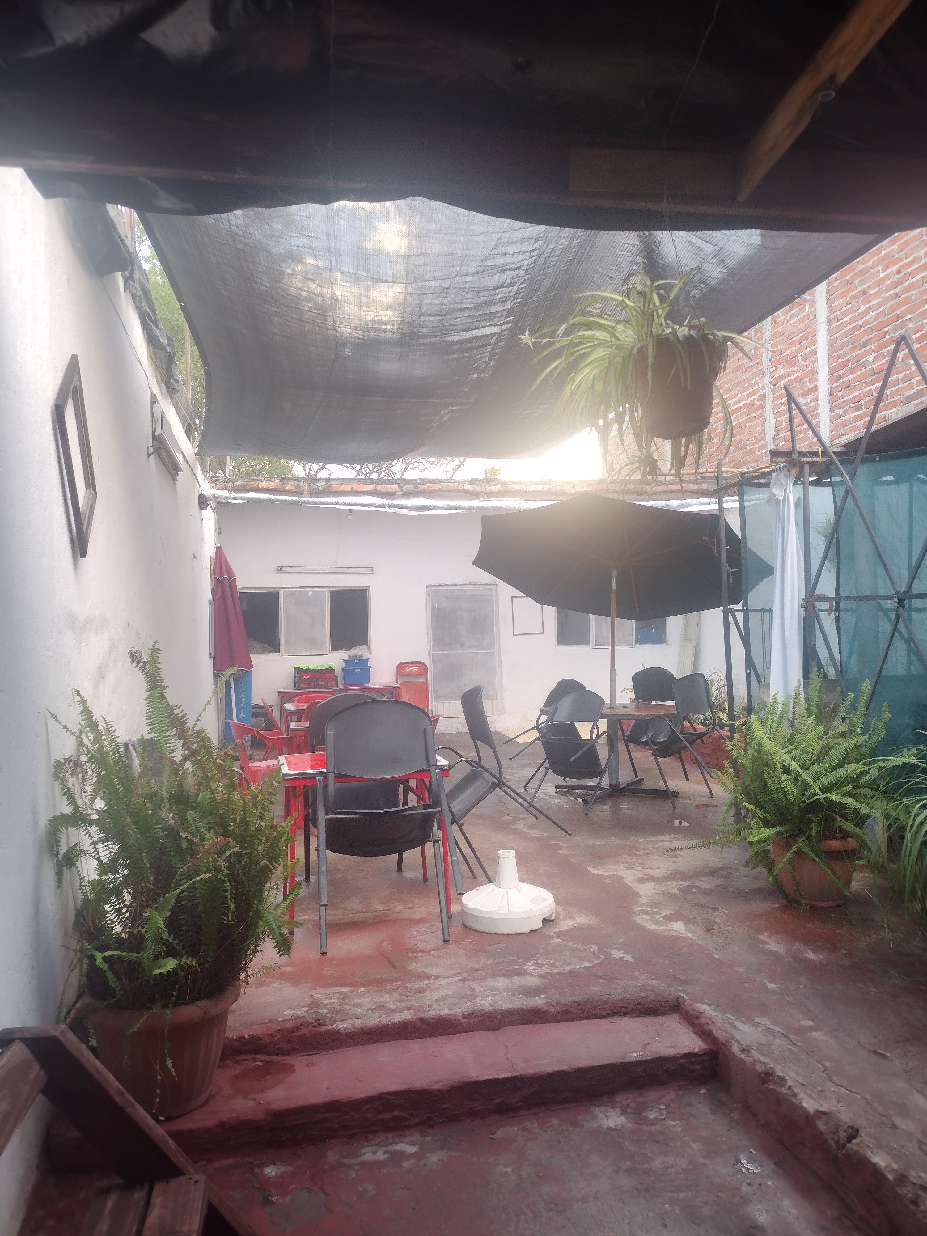 Menuderia mi Pueblito image 4