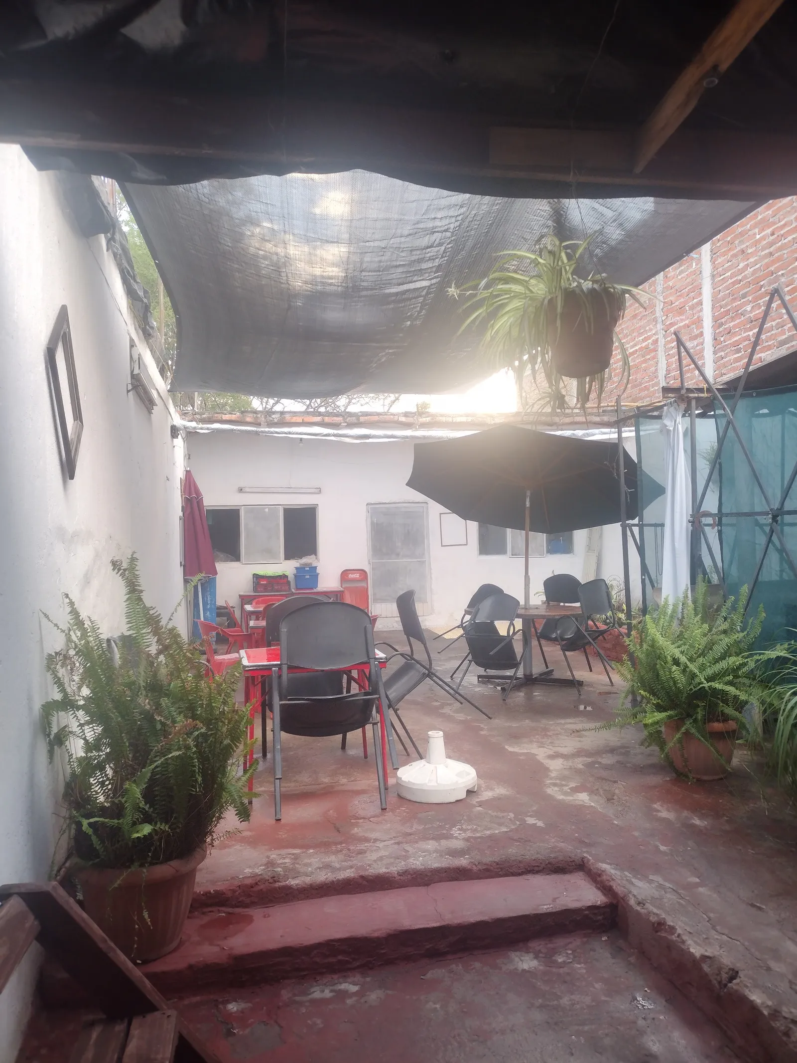 Menuderia mi Pueblito image 4