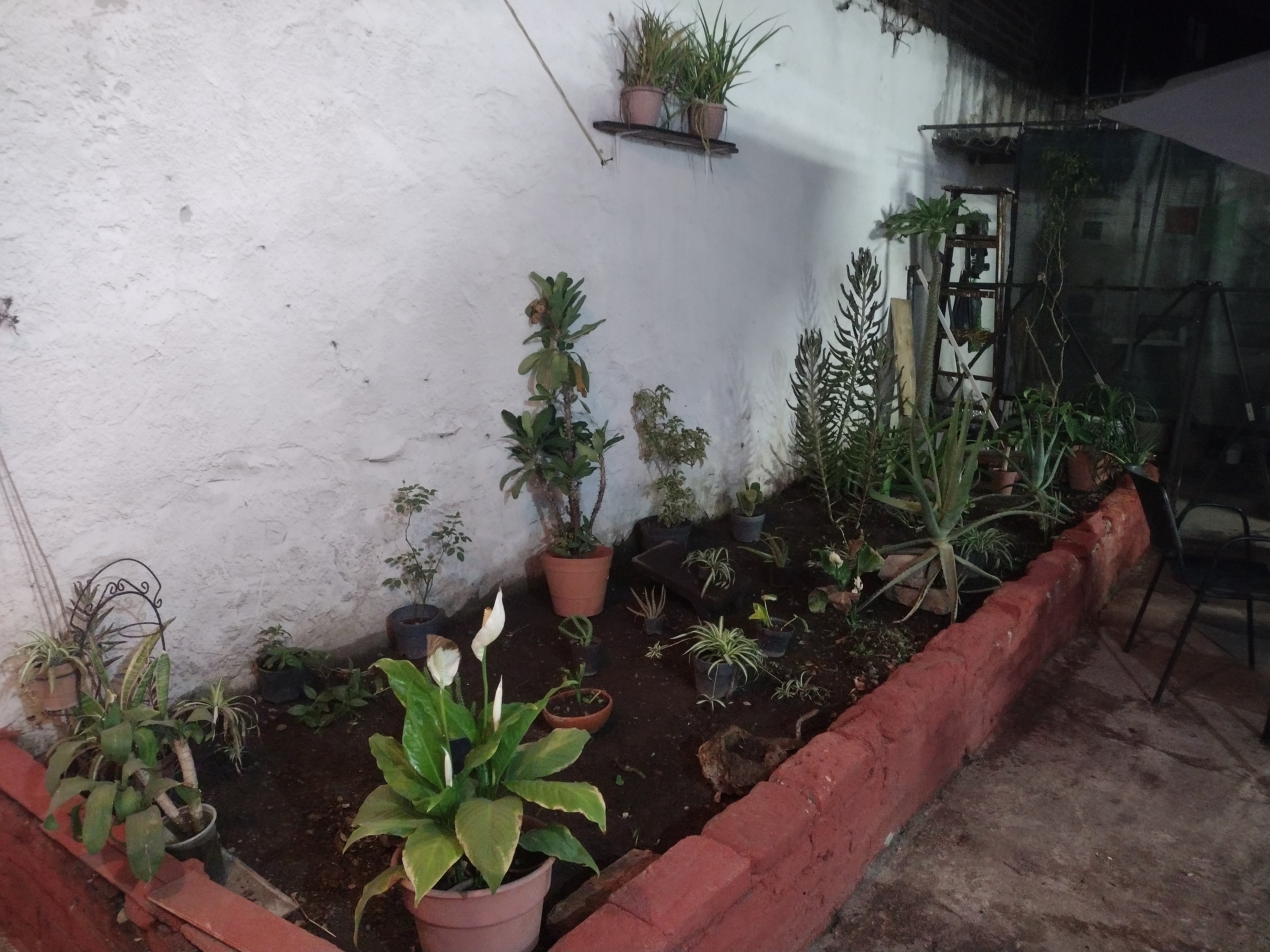 Menuderia mi Pueblito image 6