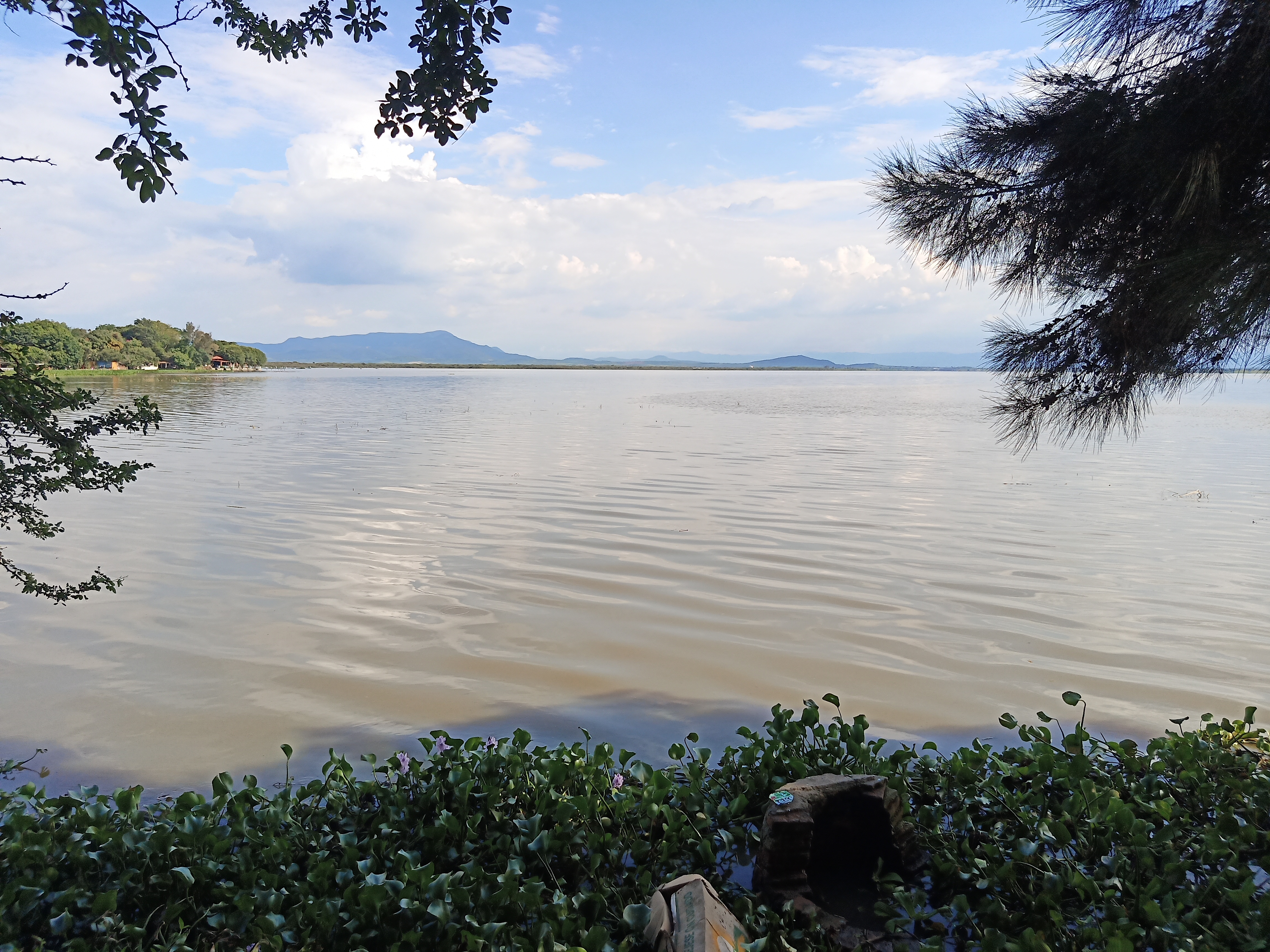 Restaurant Familiar La Cabaña image 3