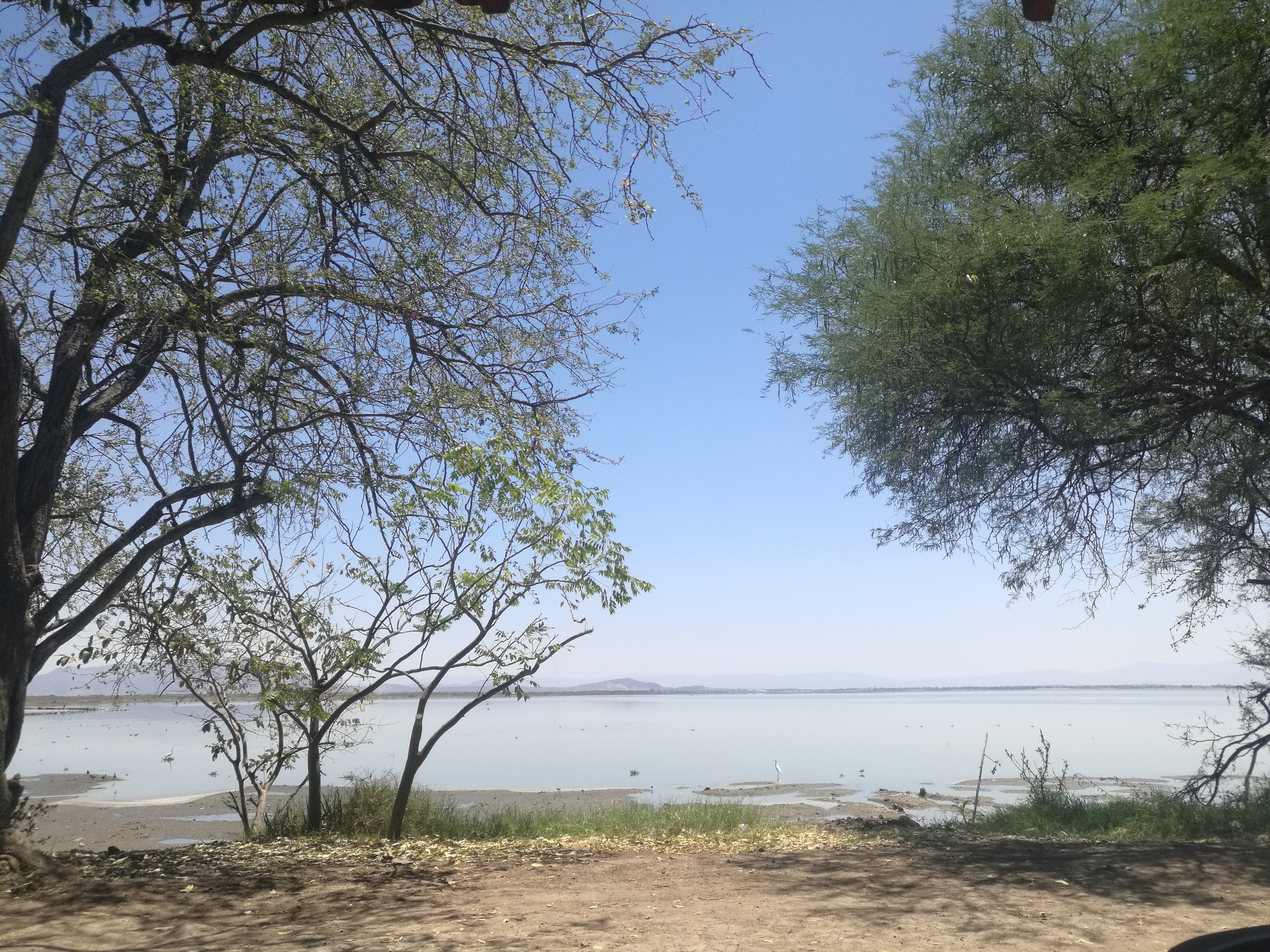 Restaurant Familiar La Cabaña image 6