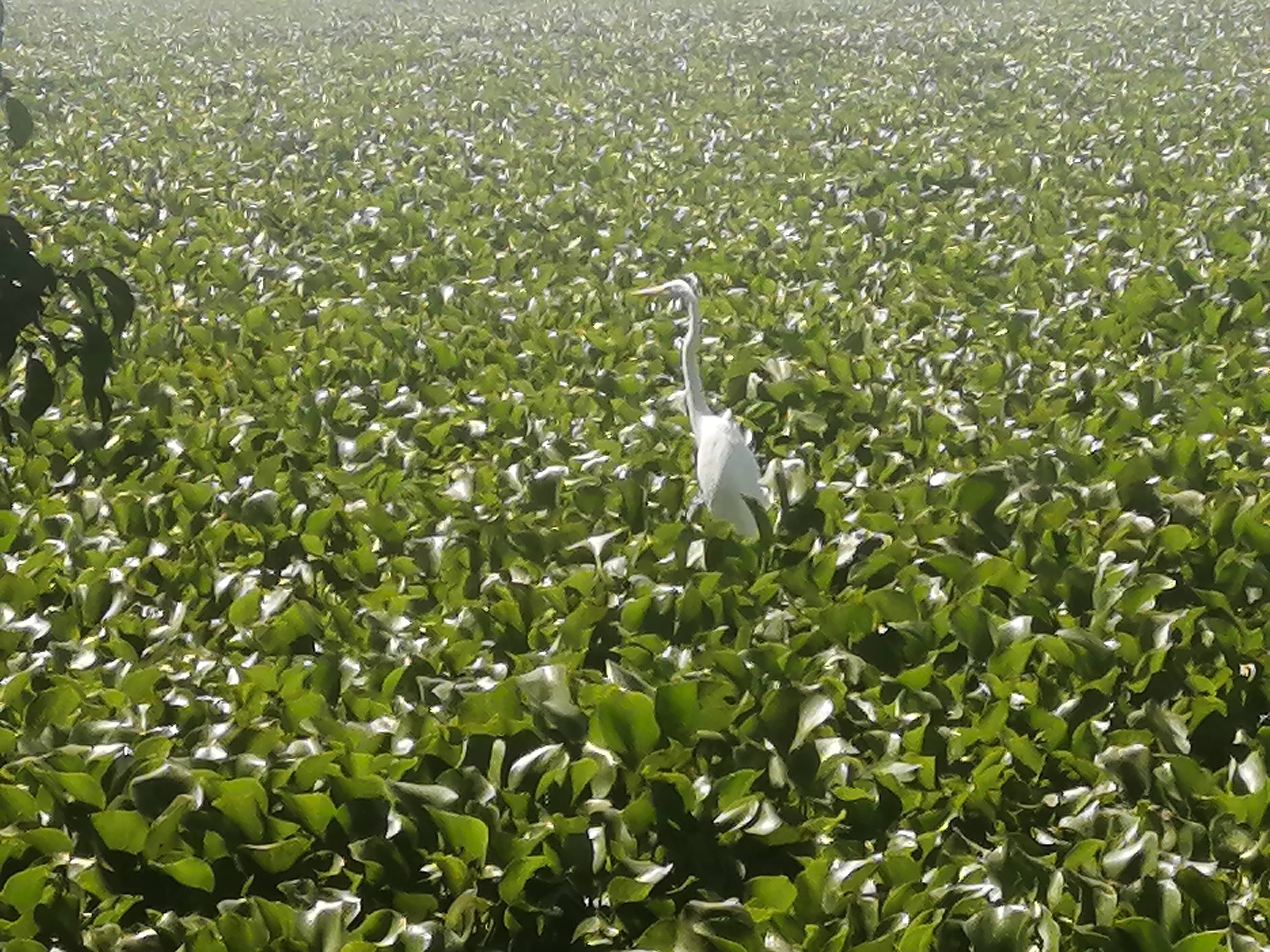Restaurant Familiar La Cabaña image 7