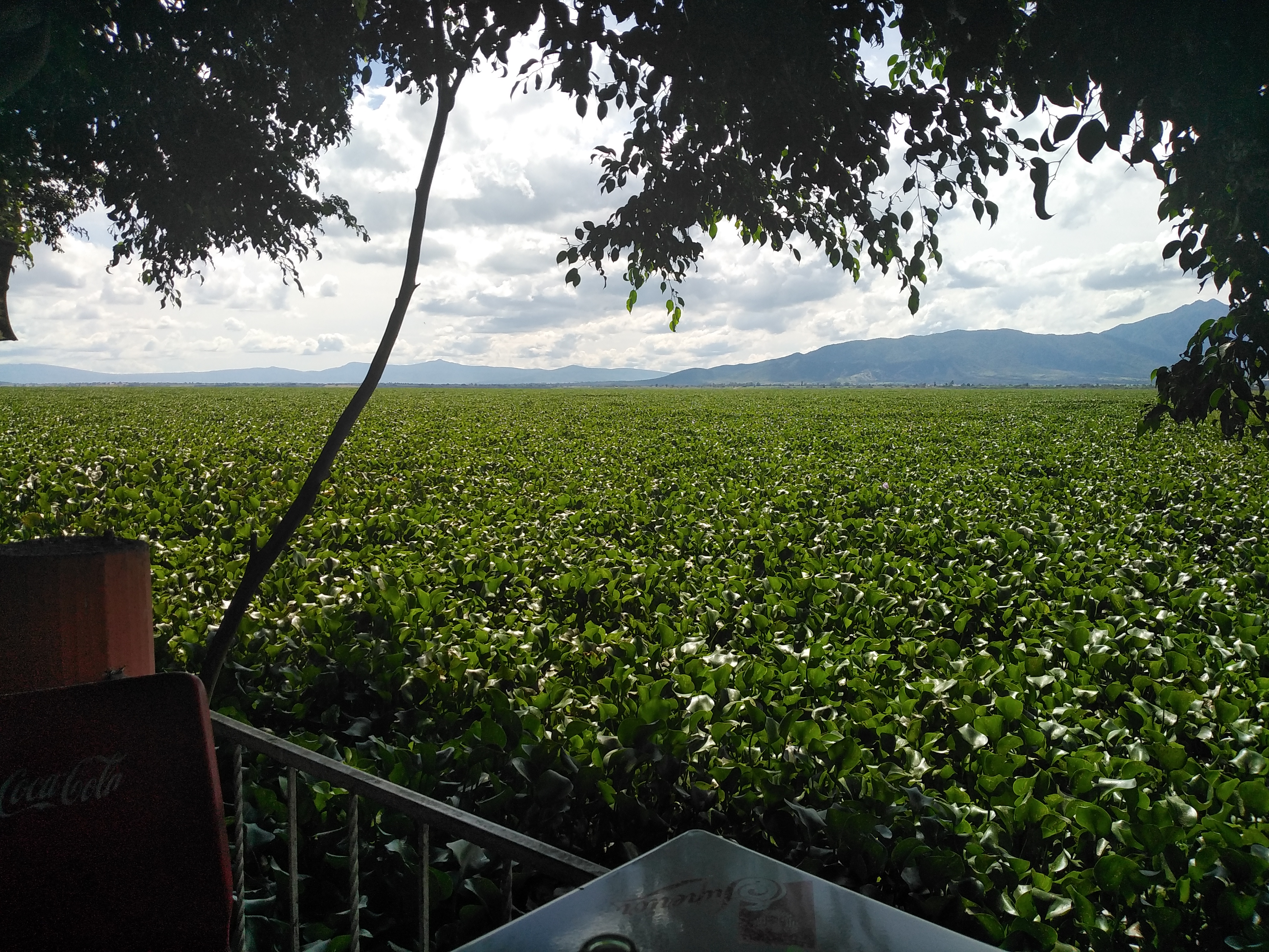 Restaurant Familiar La Cabaña image 9