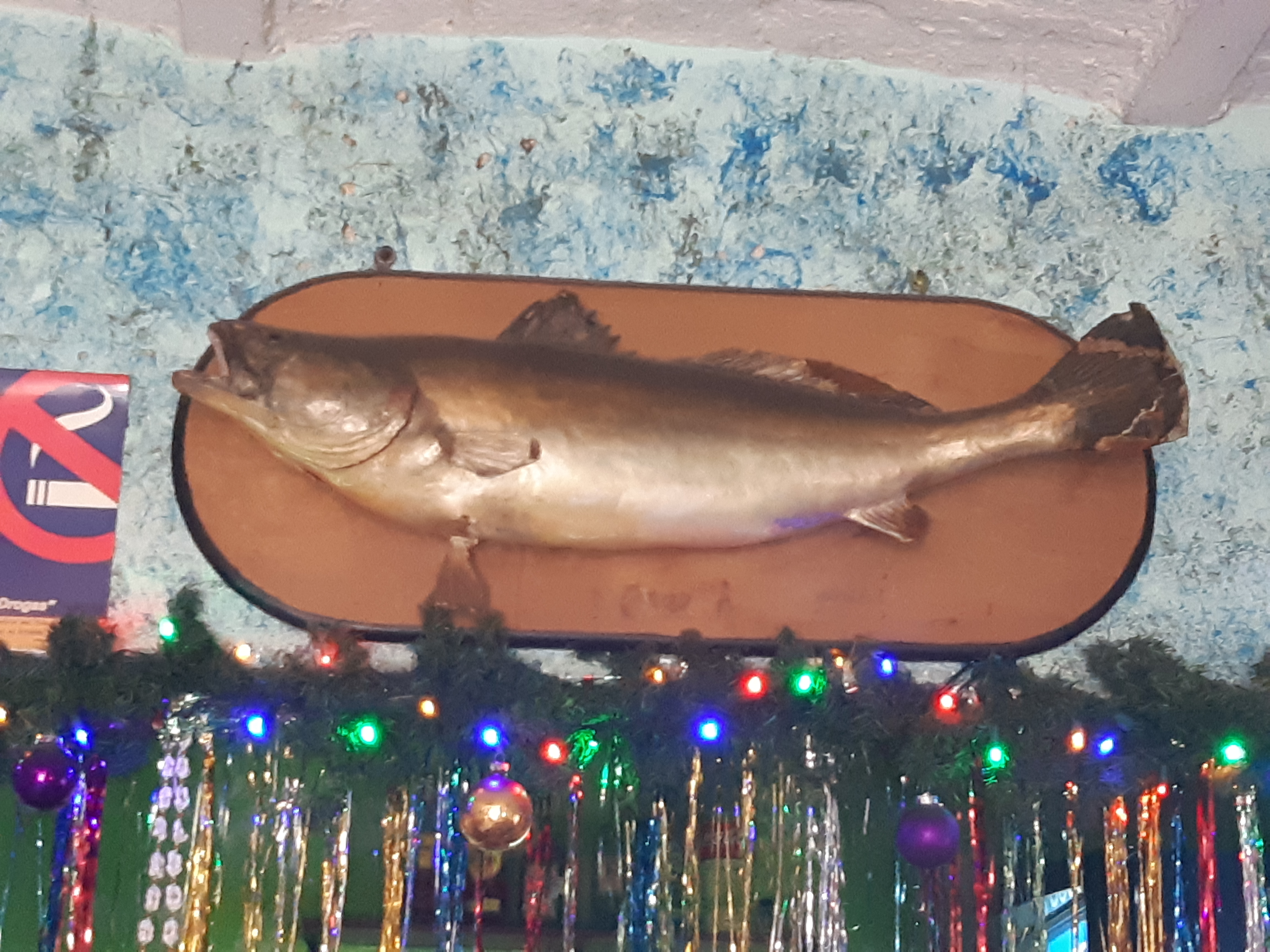 Restaurant De Pescados Y Mariscos "ERNESTO" image 8