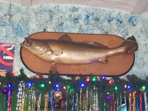 Restaurant De Pescados Y Mariscos "ERNESTO" image 8