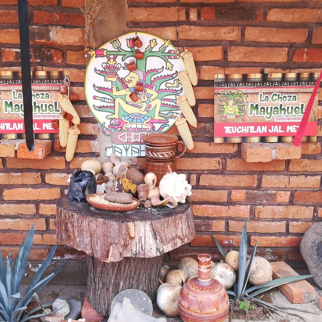 Bebidas Prehispanicas image 10