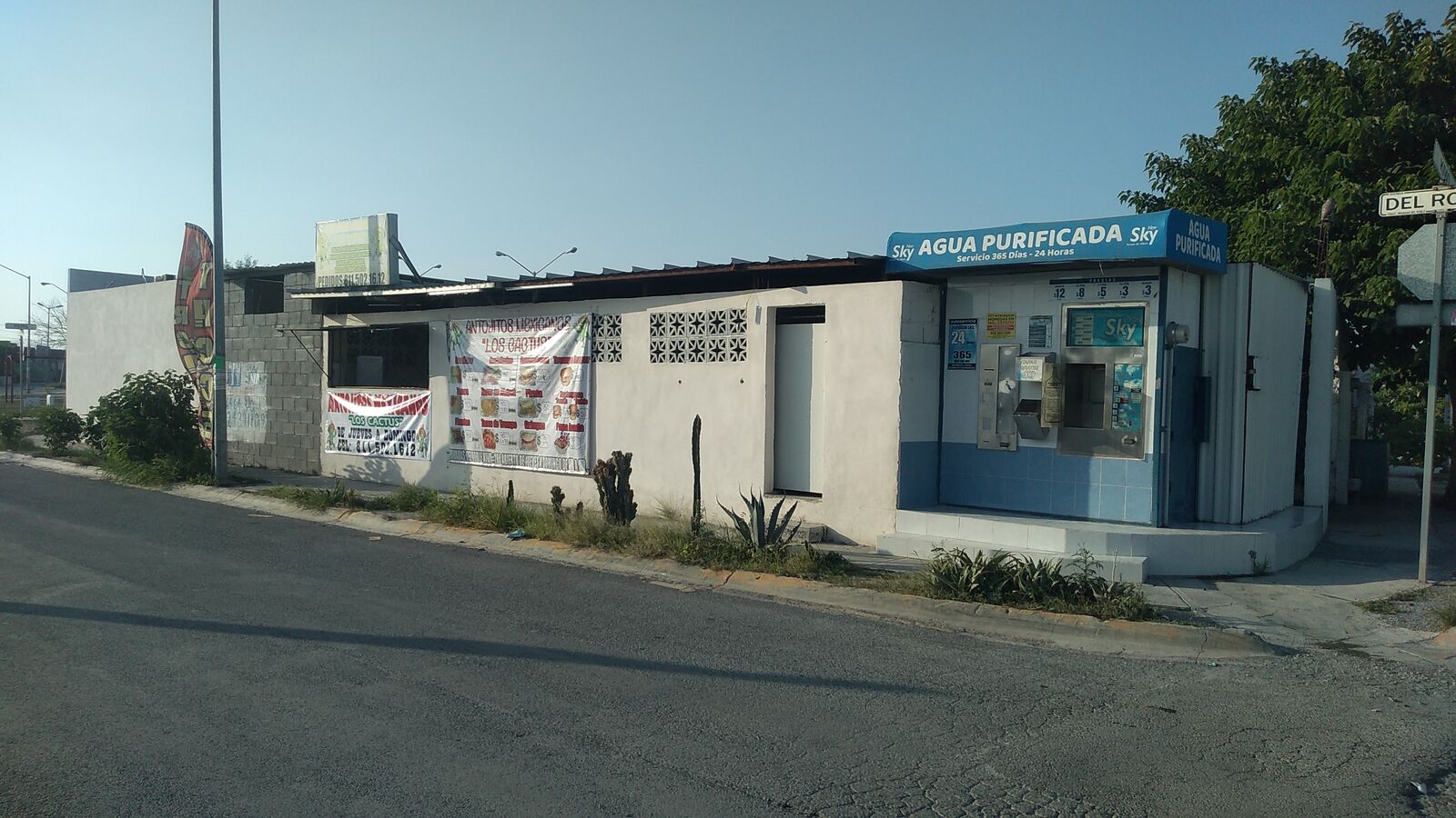 Los Cactus image 6