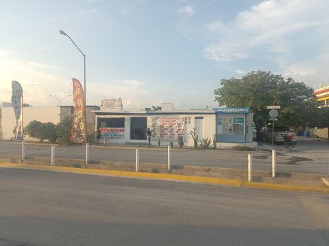Los Cactus image 7