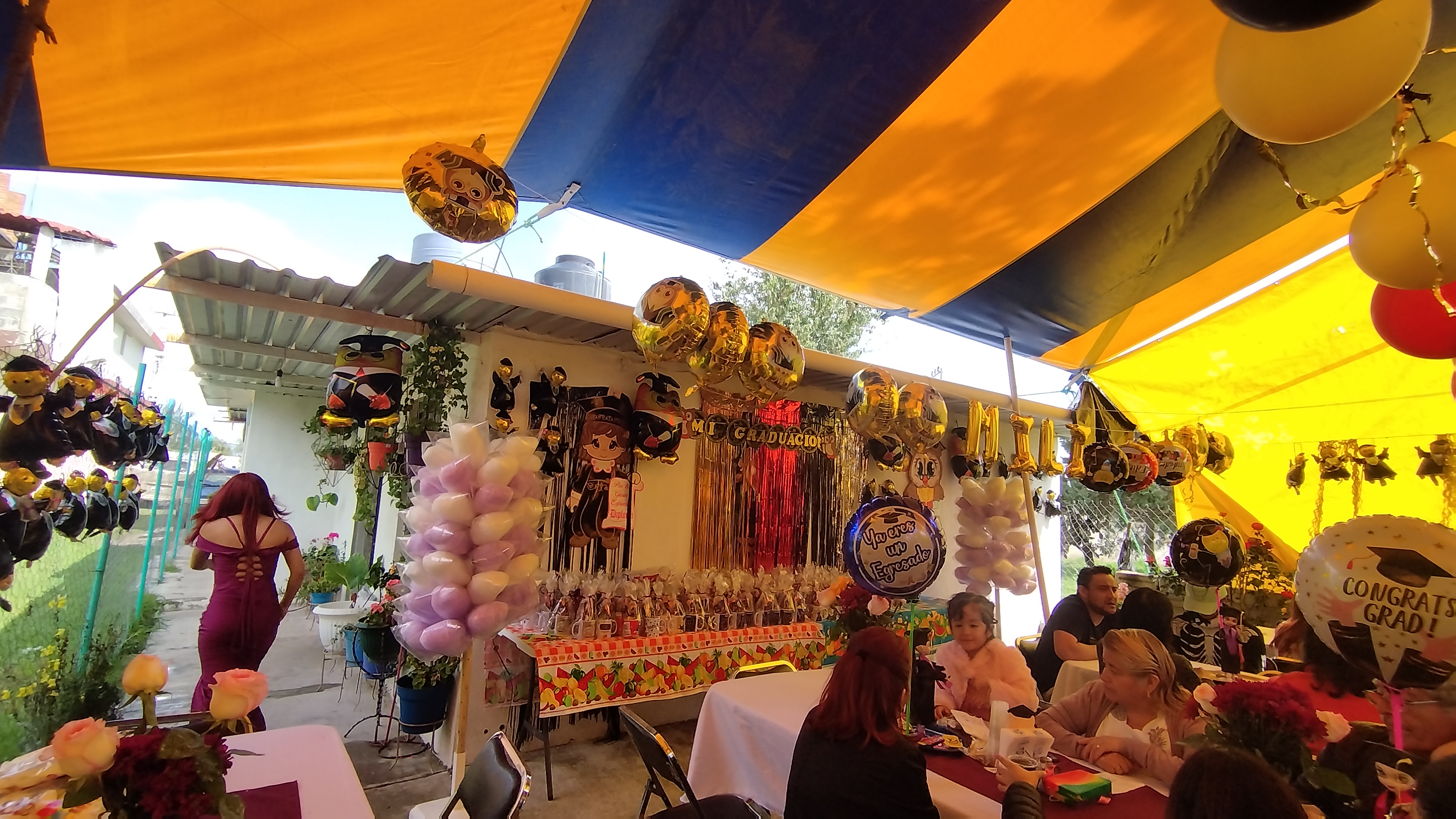 Algodones Tommy image 5