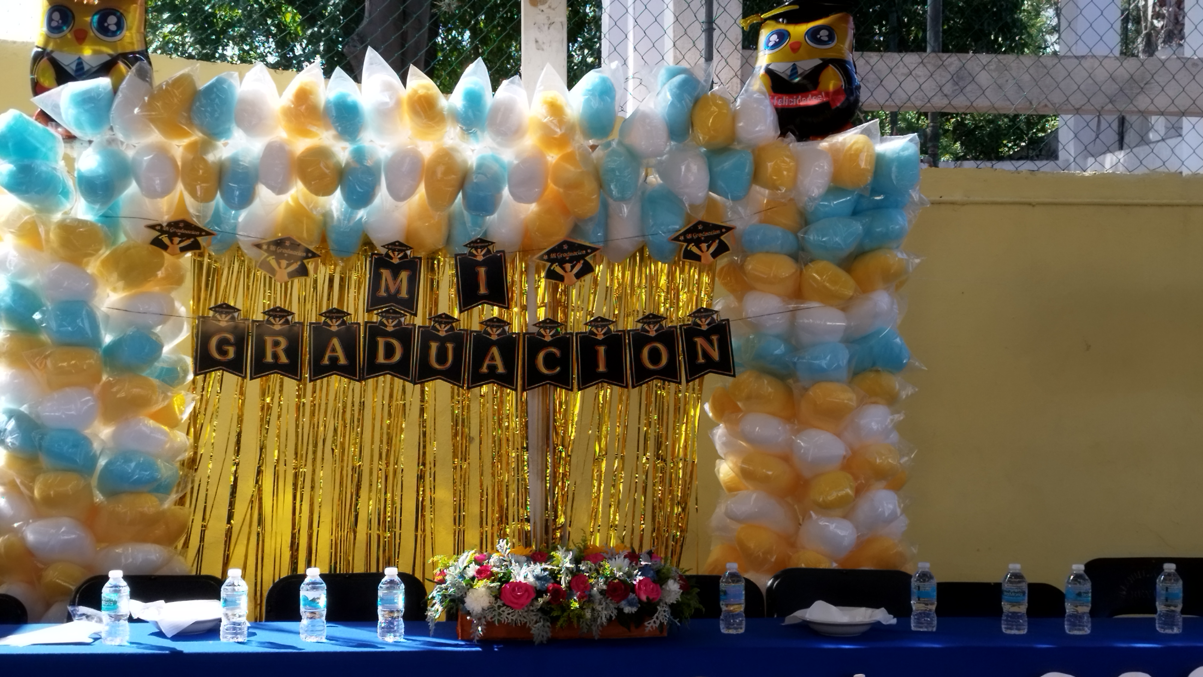 Algodones Tommy image 8