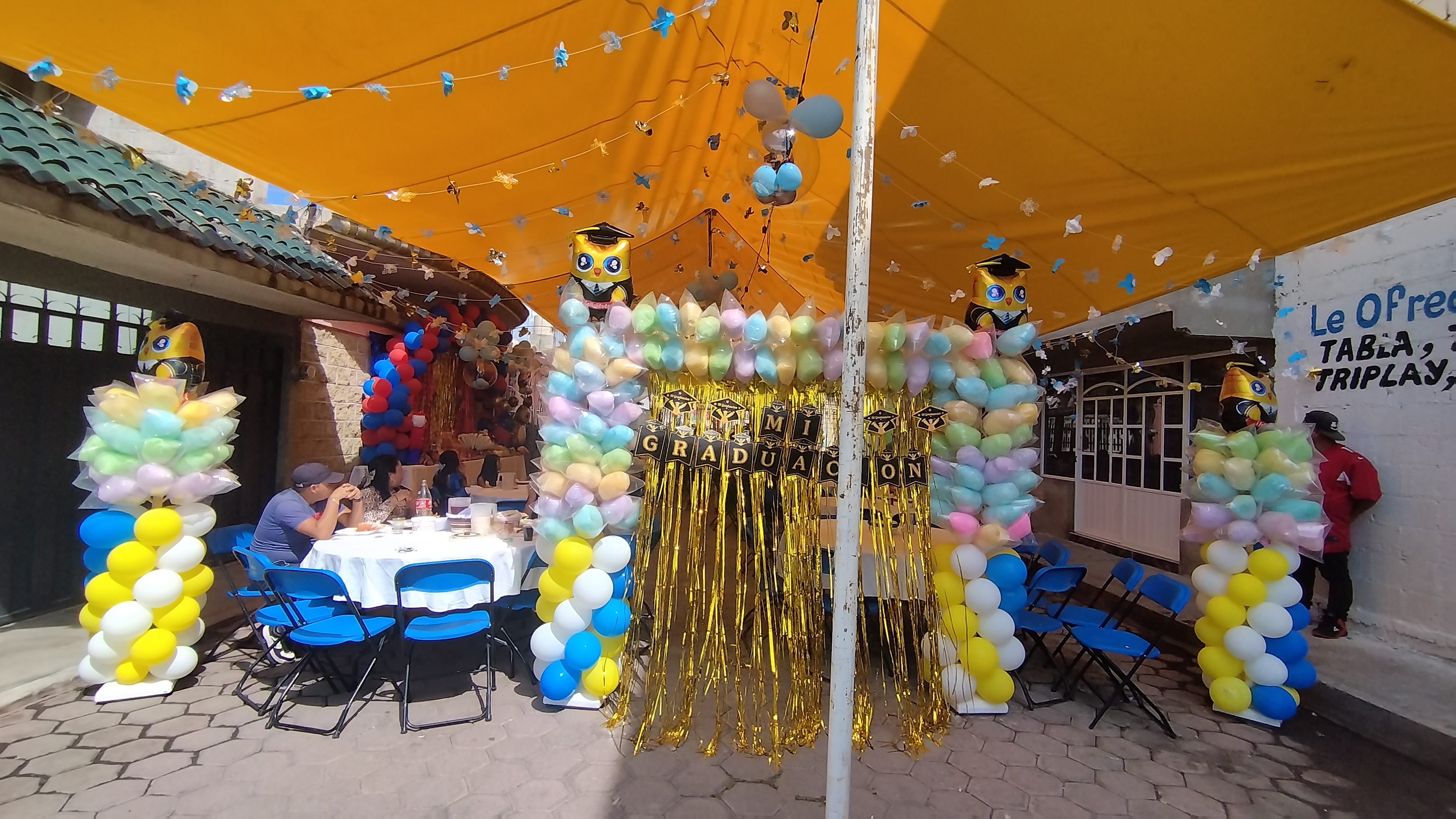 Algodones Tommy image 9