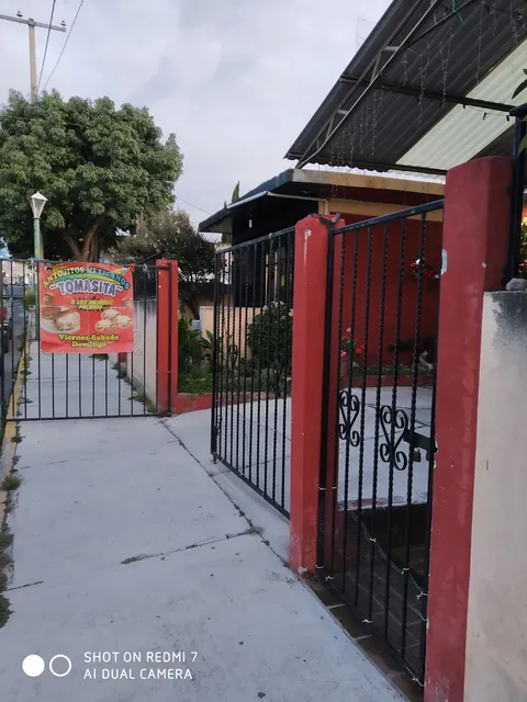 Antojitos mexicanos Tomasita image 4