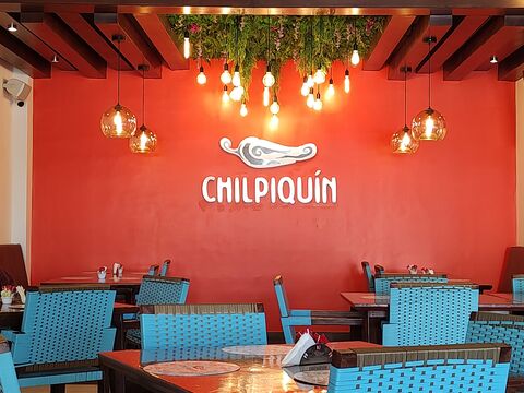 Chilpiquin image 7
