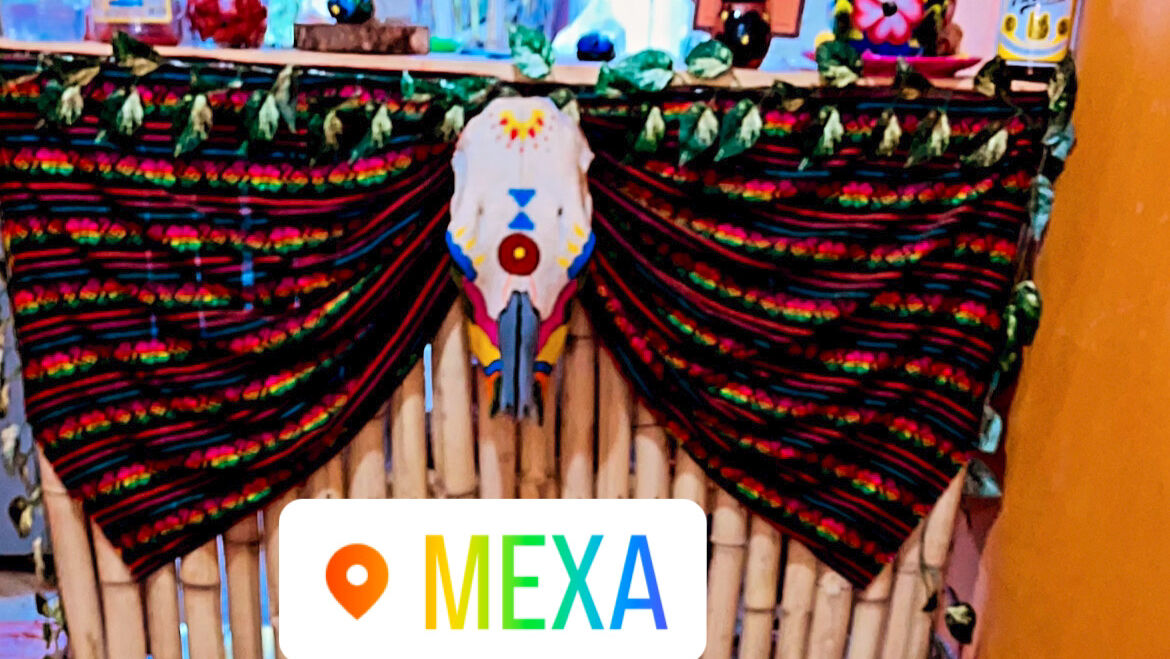 MEXA image 2