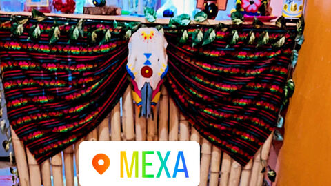 MEXA image 2