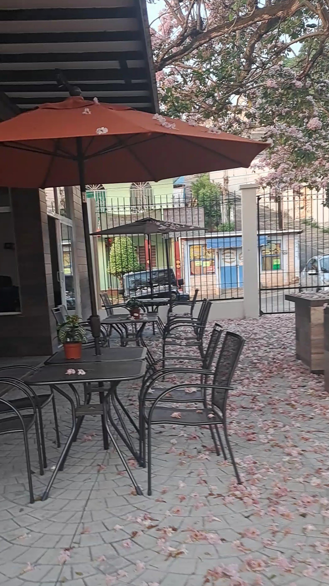 Tacool smokehouse & grill image 8