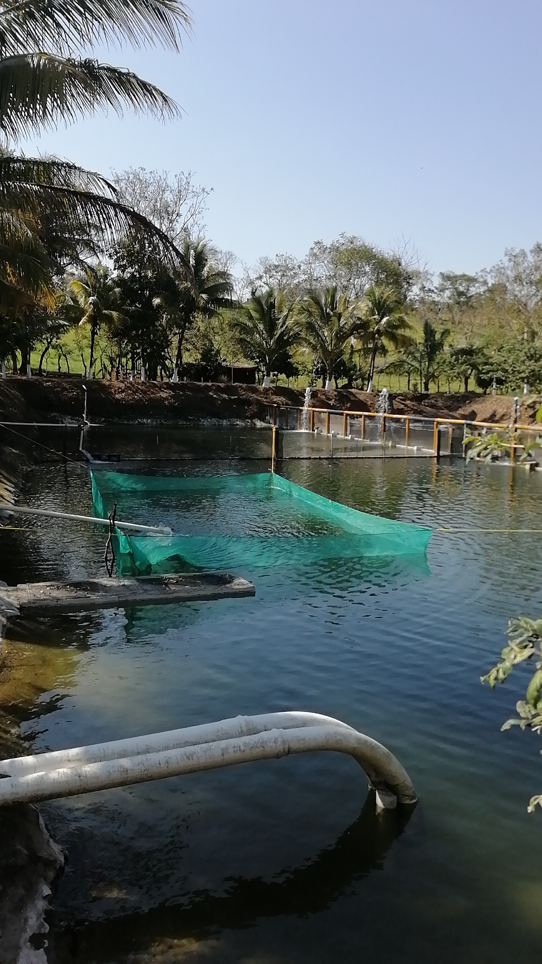 El Encanto Criadero&Restaurant image 1