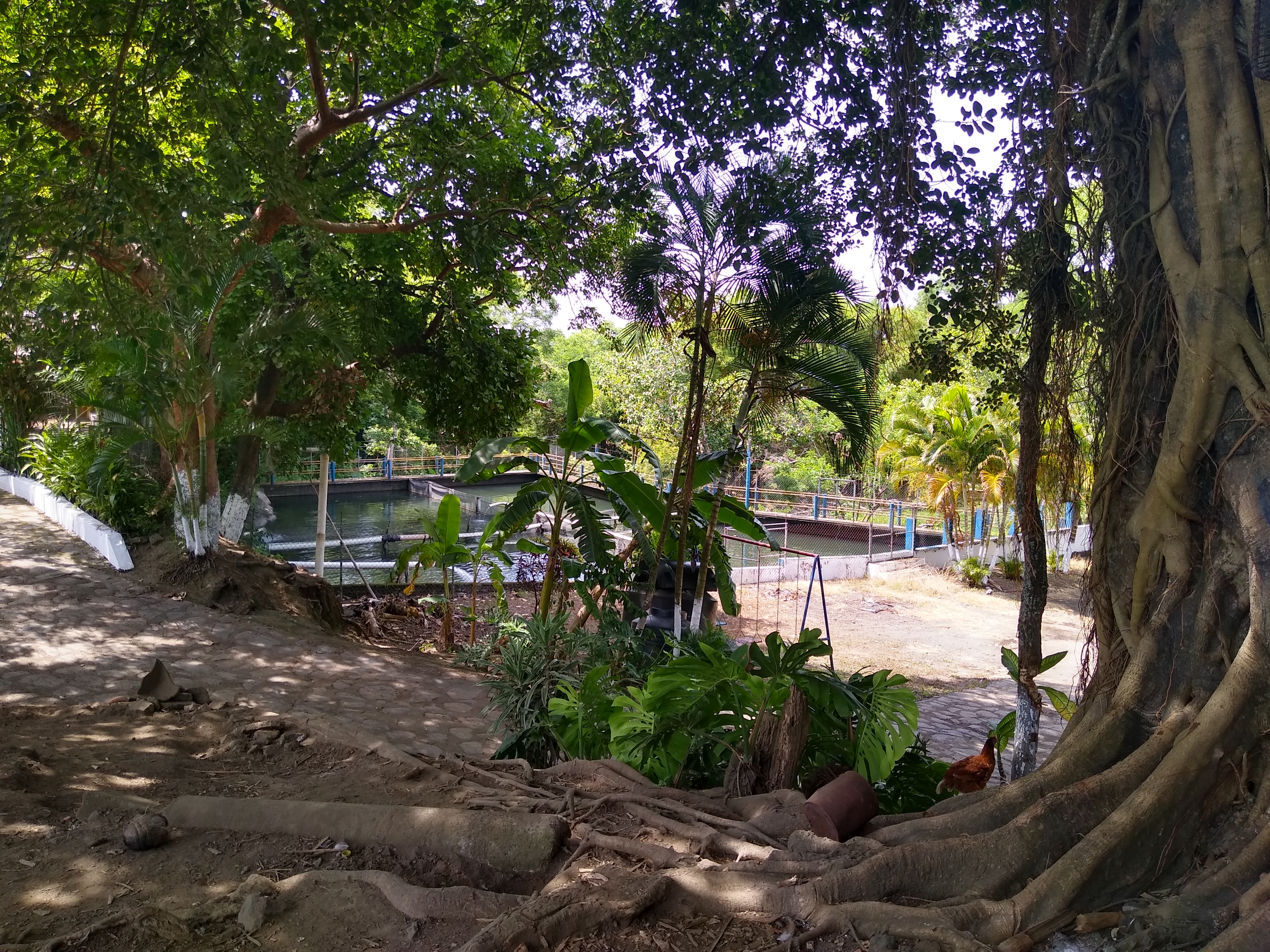 El Encanto Criadero&Restaurant image 3