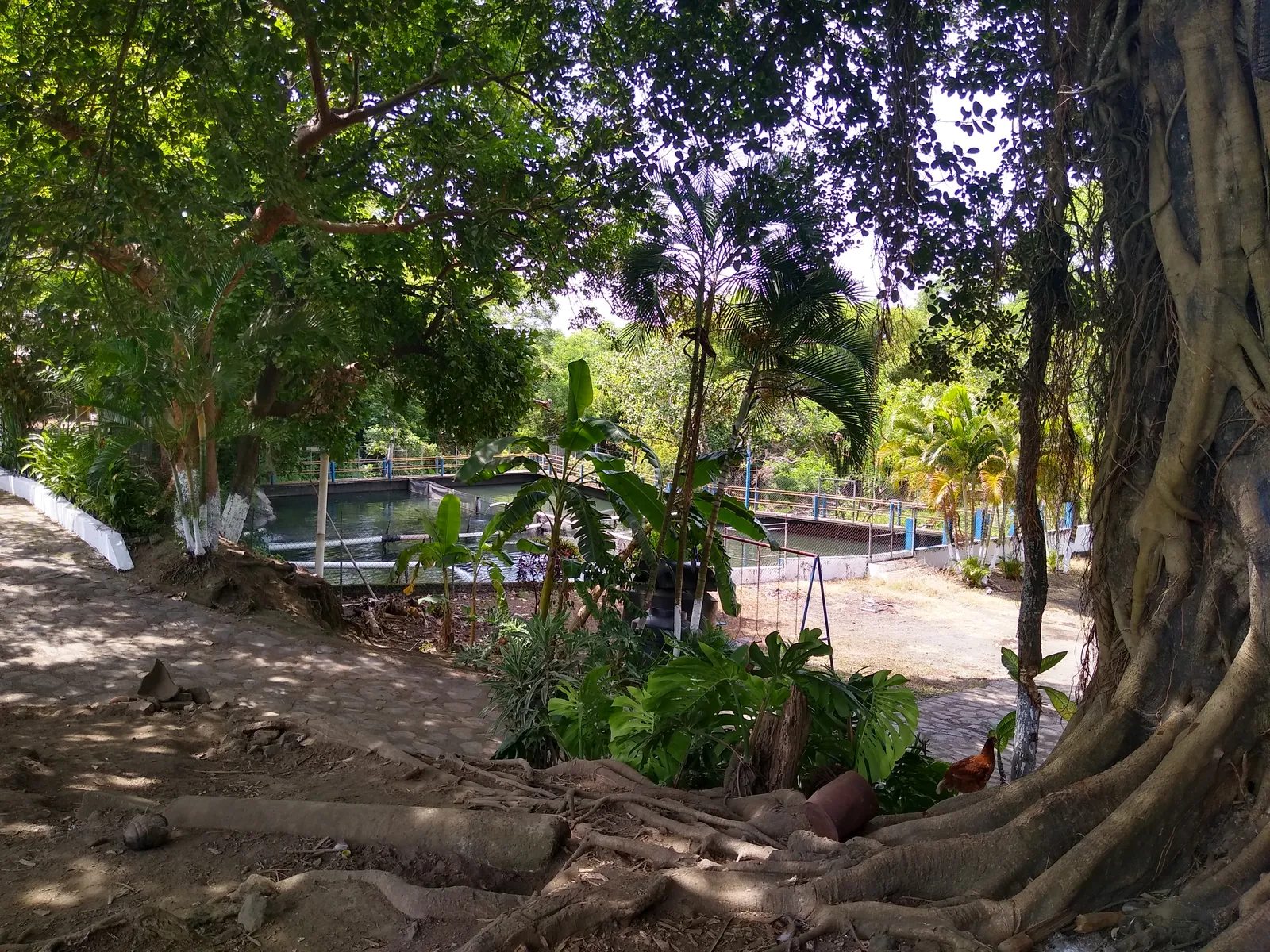 El Encanto Criadero&Restaurant image 3