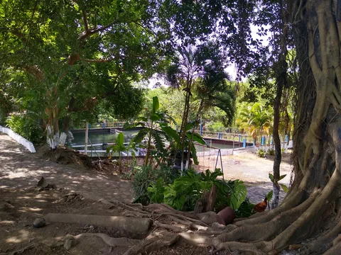 El Encanto Criadero&Restaurant image 3