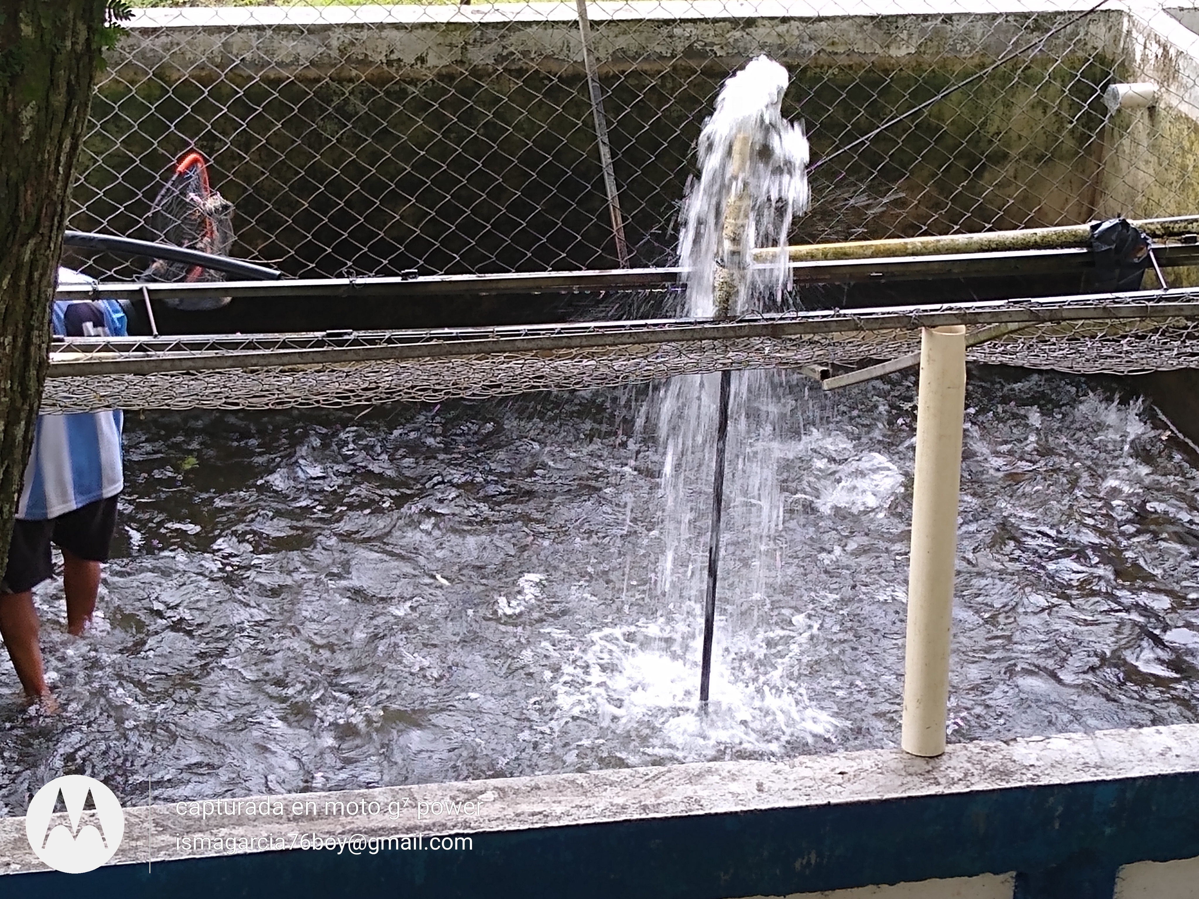 El Encanto Criadero&Restaurant image 6