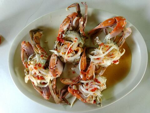 Palapa de Mariscos "Canta Ranas" image 1
