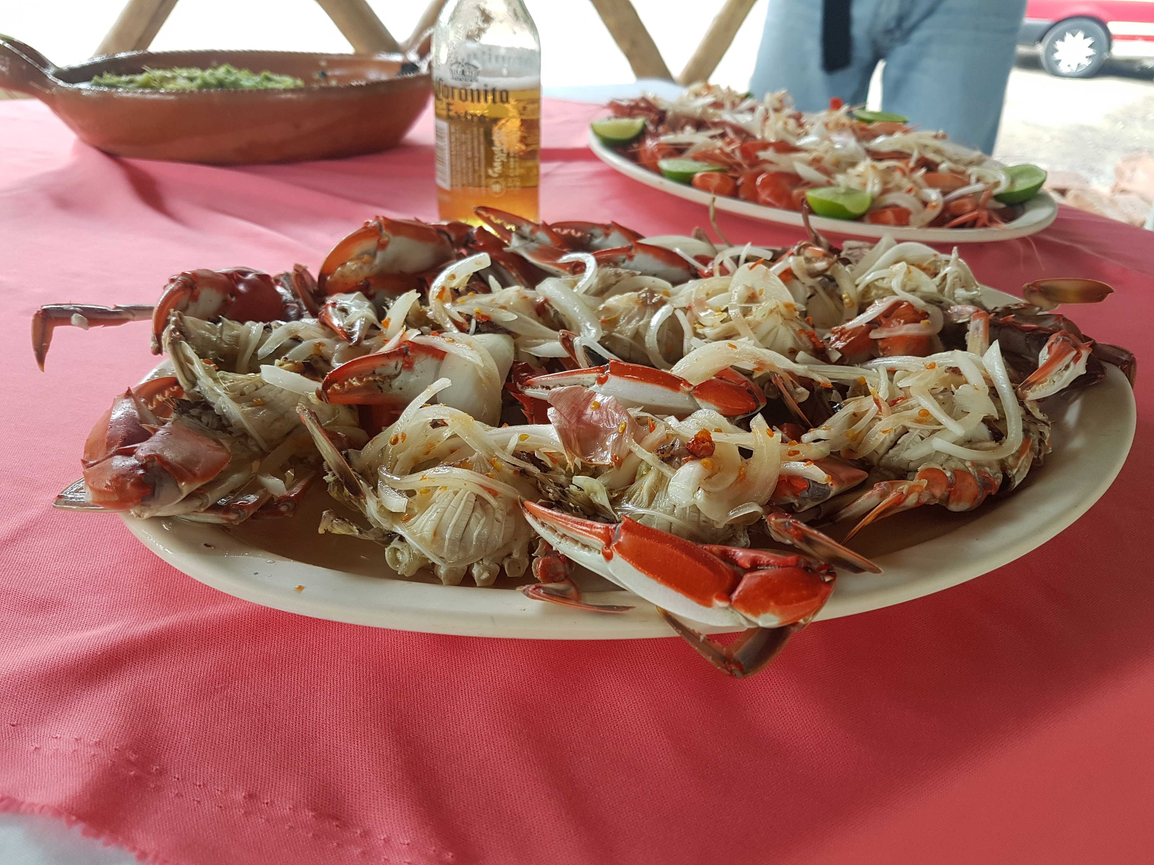 Palapa de Mariscos "Canta Ranas" image 2