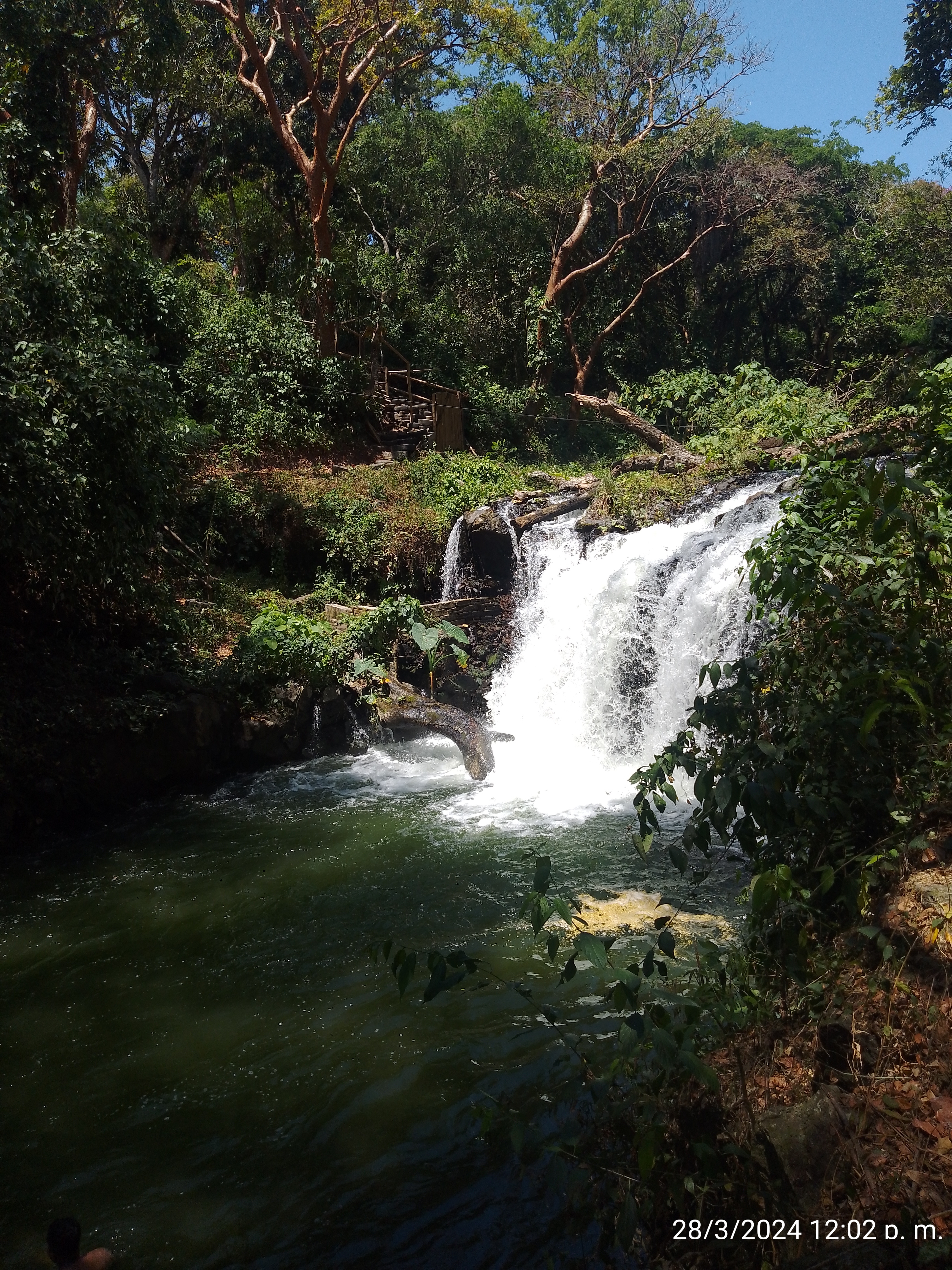 Palapa de Mariscos "Canta Ranas" image 3
