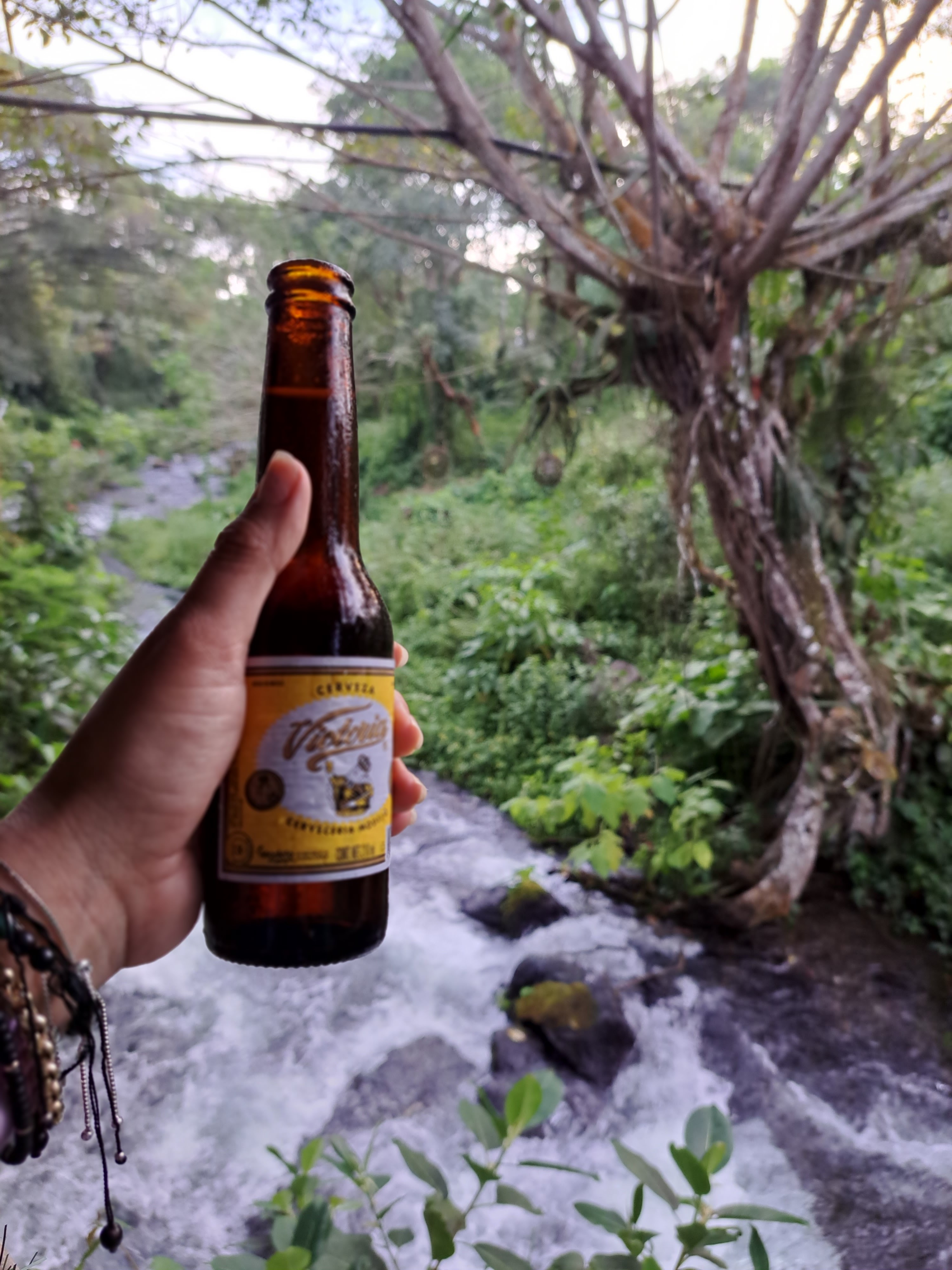 Palapa de Mariscos "Canta Ranas" image 9