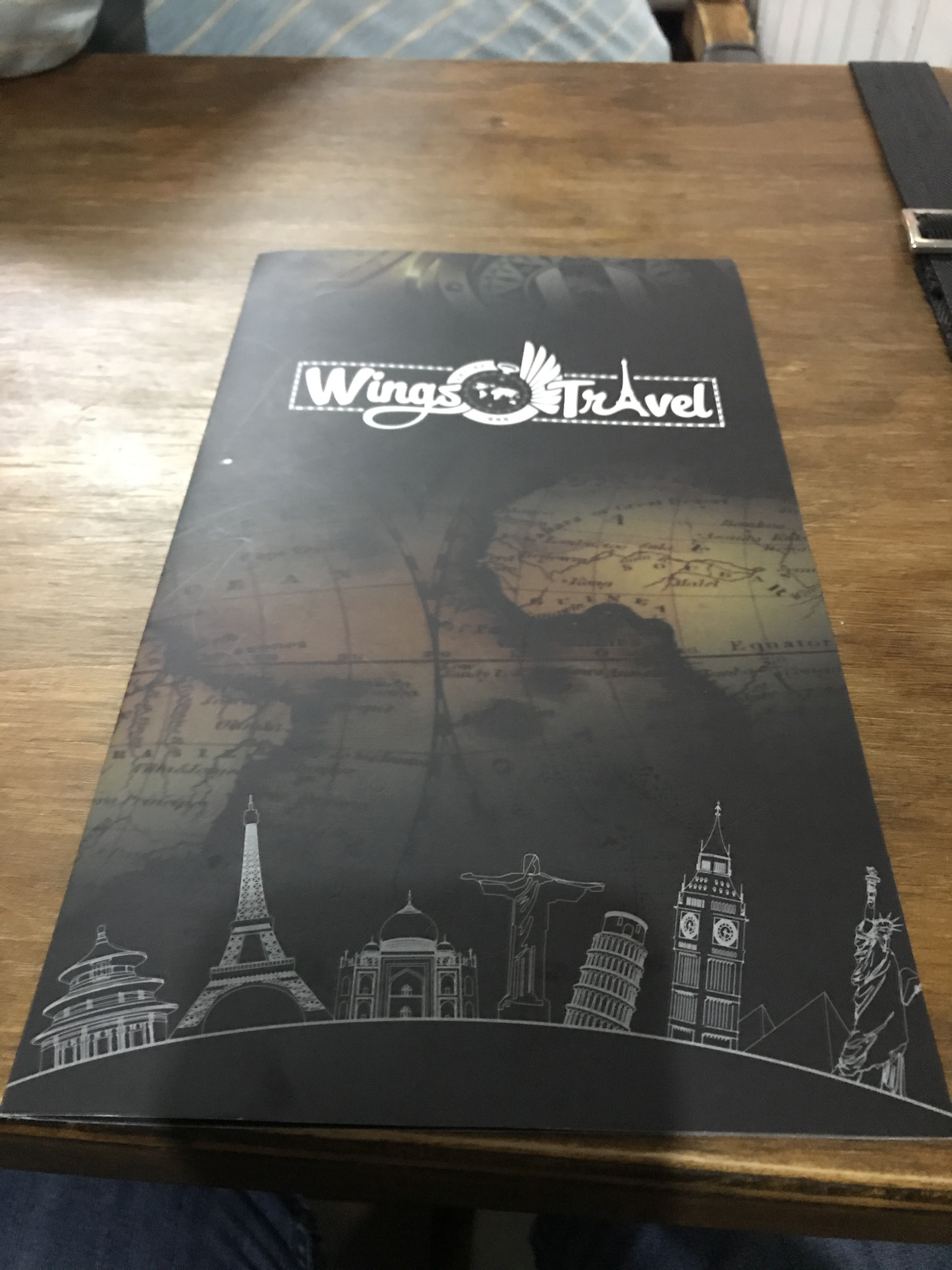 Wings Travel image 4