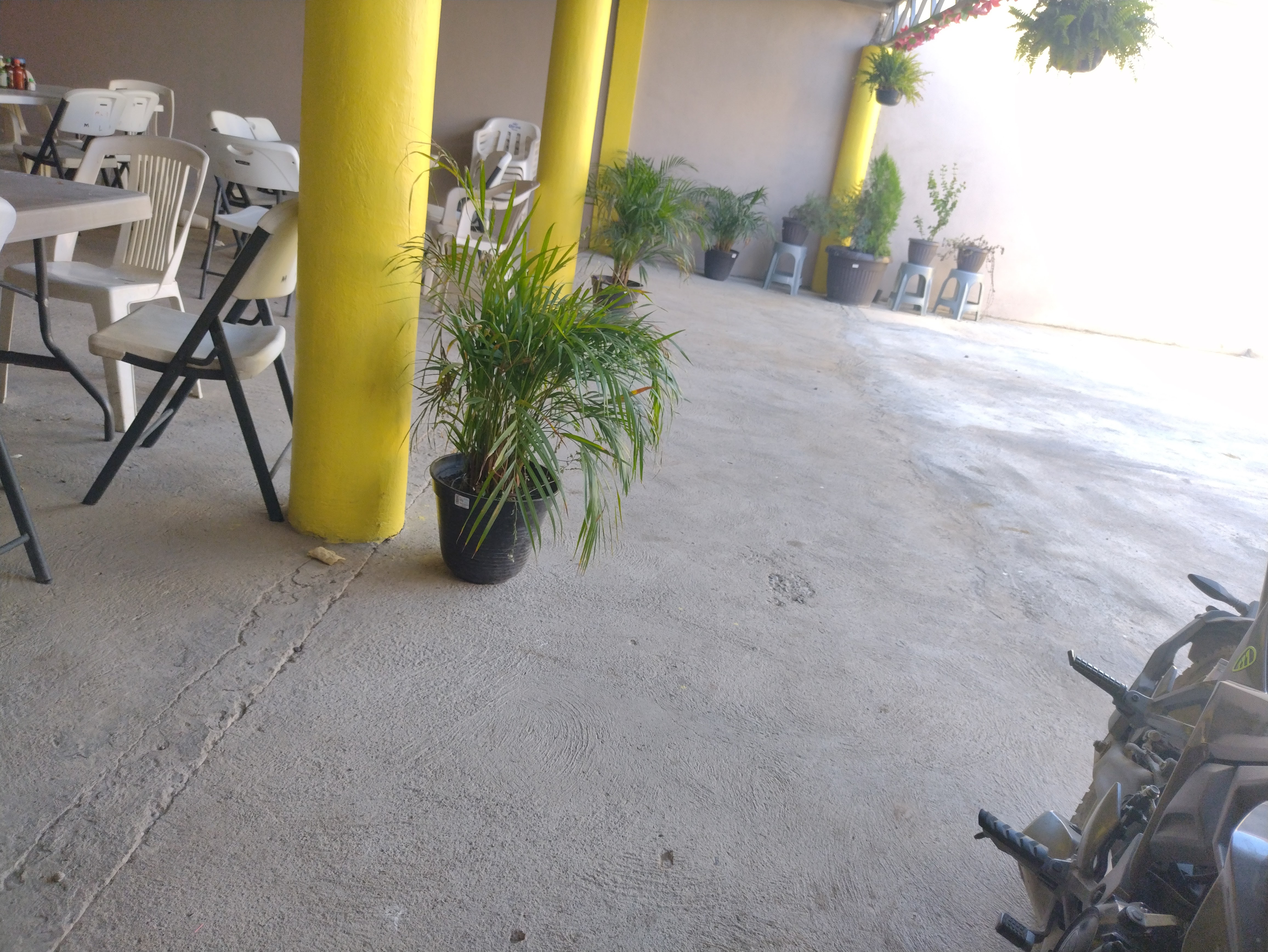 Marisqueria "El Bombas" image 3