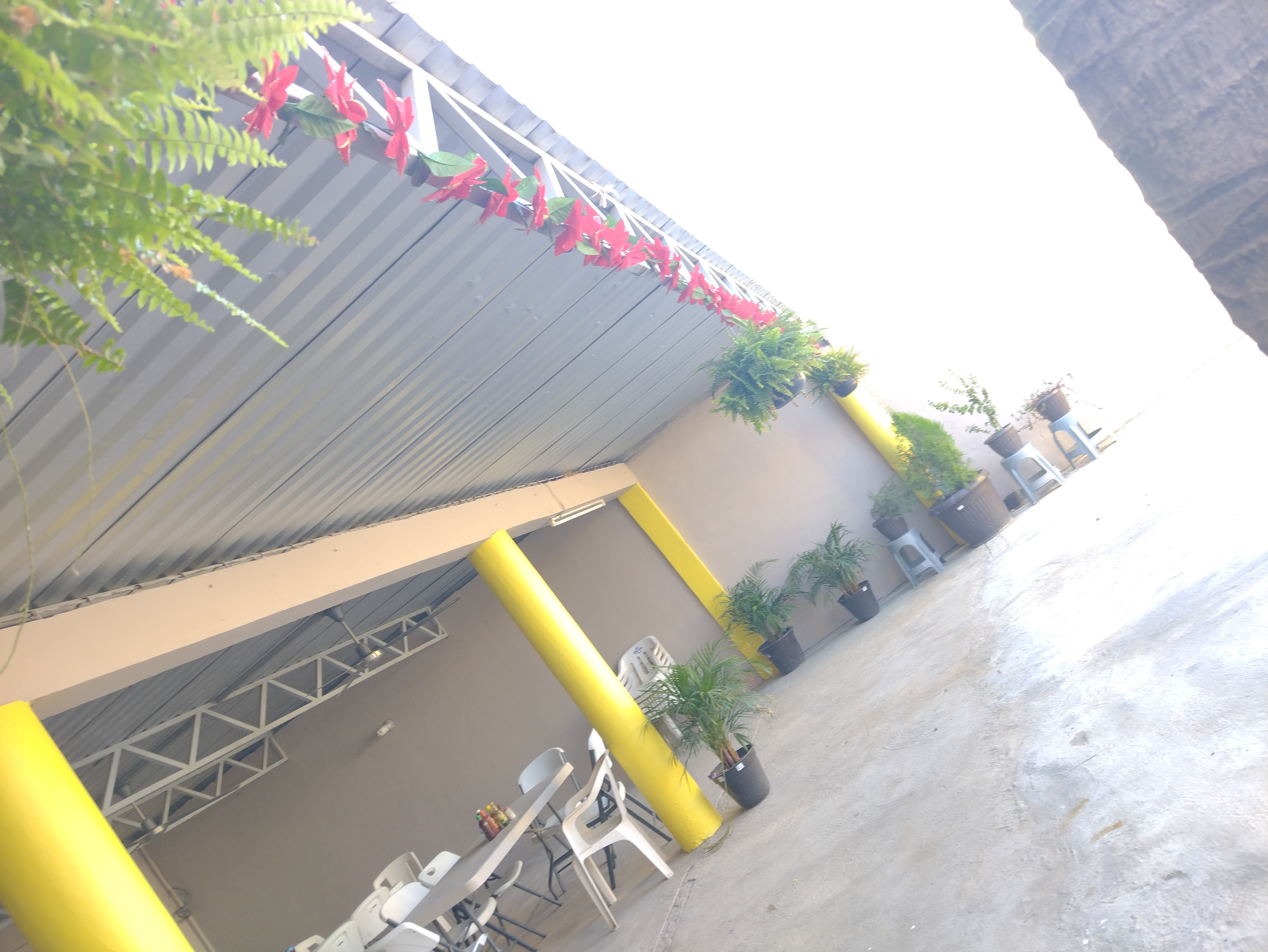 Marisqueria "El Bombas" image 4