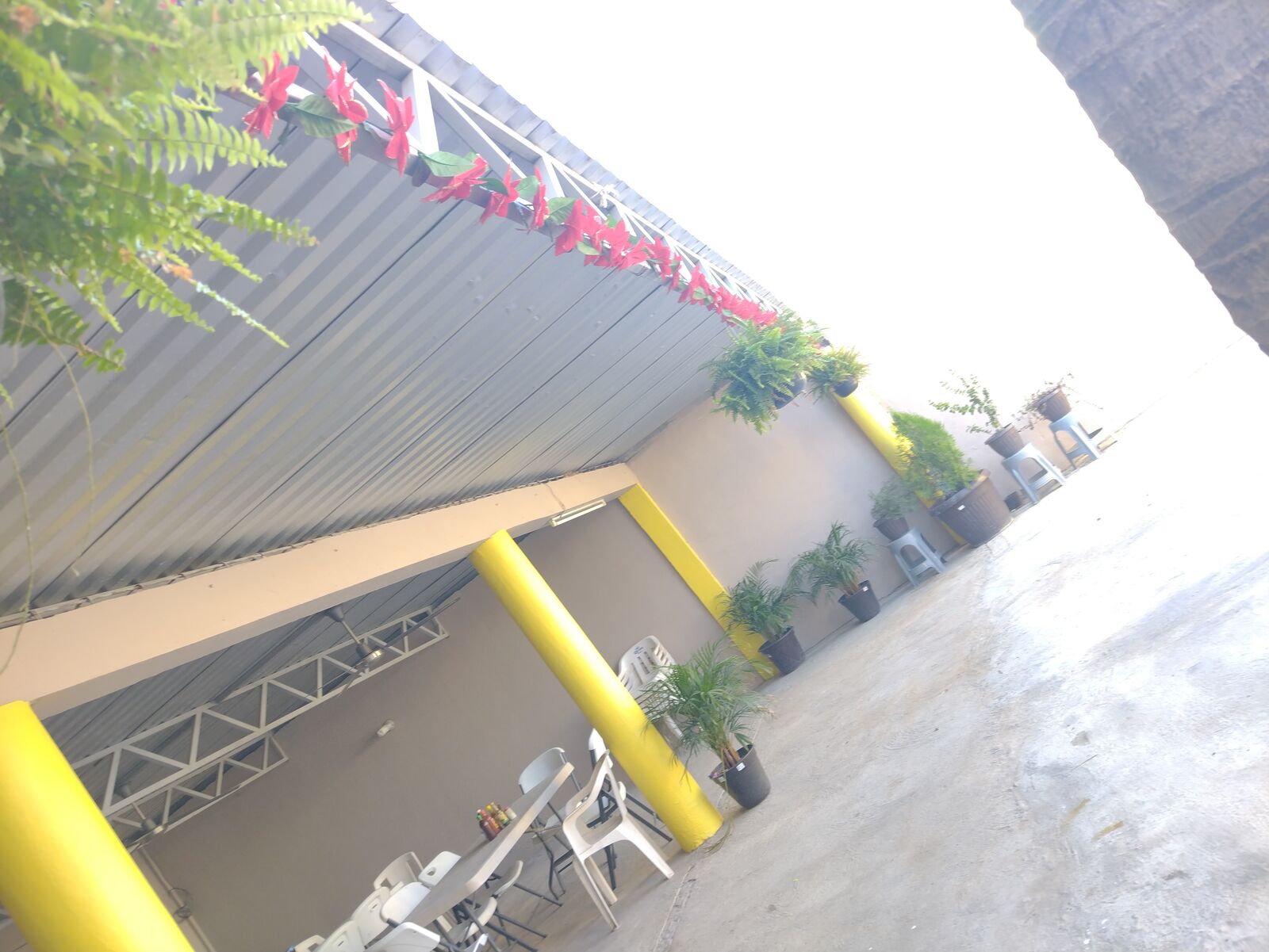 Marisqueria "El Bombas" image 4