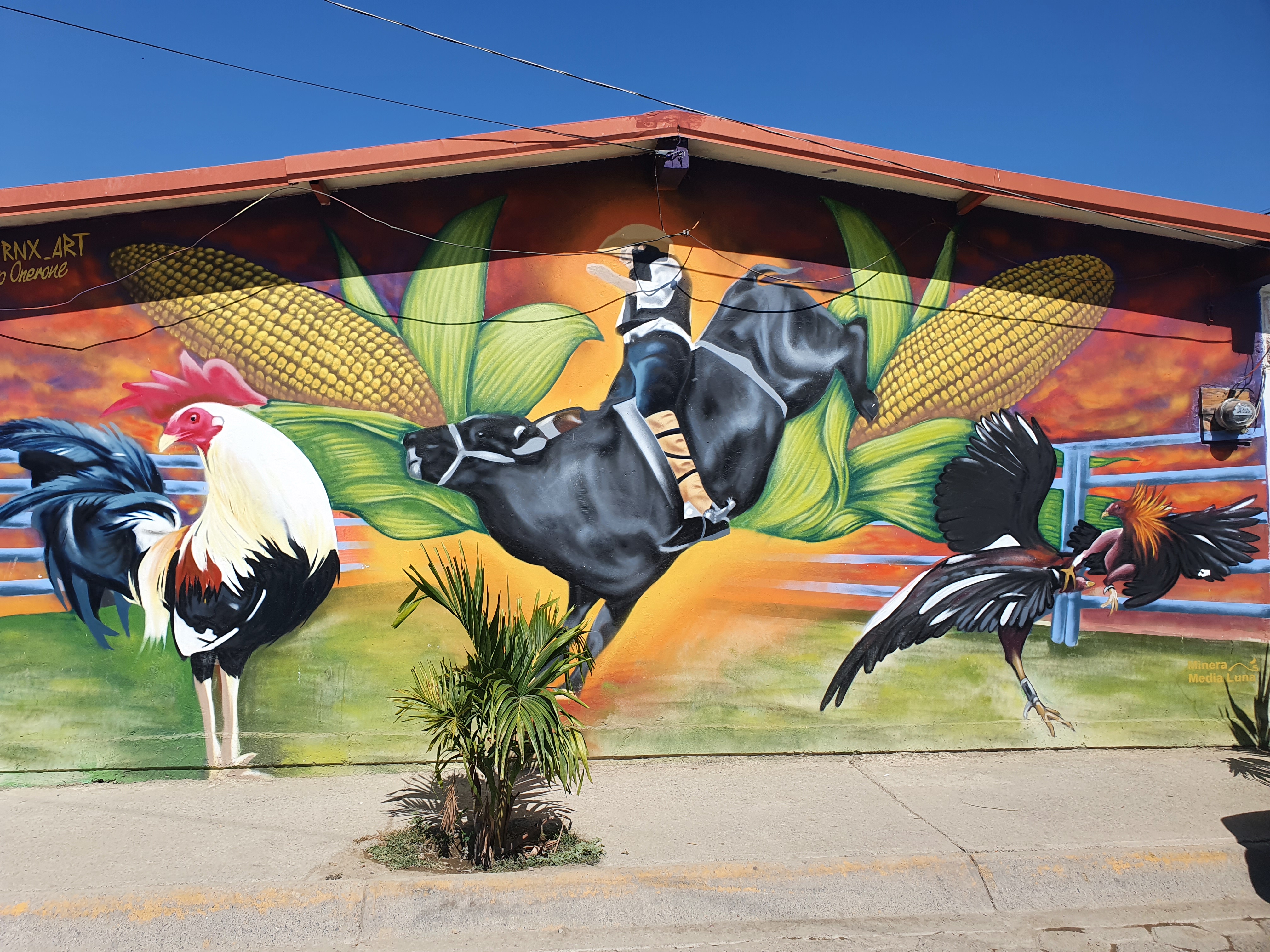 Comedor sami image 2