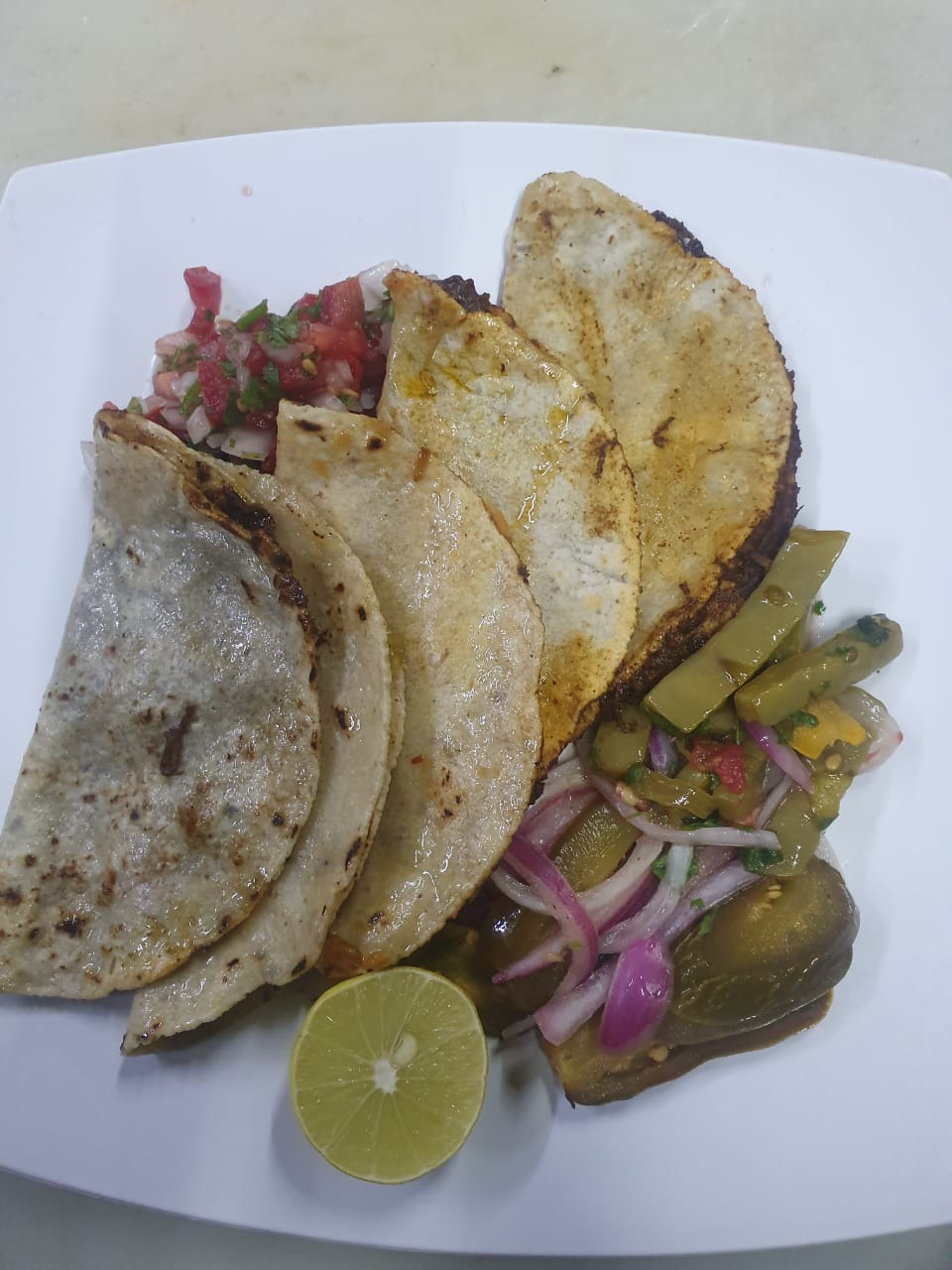 Comedor sami image 8