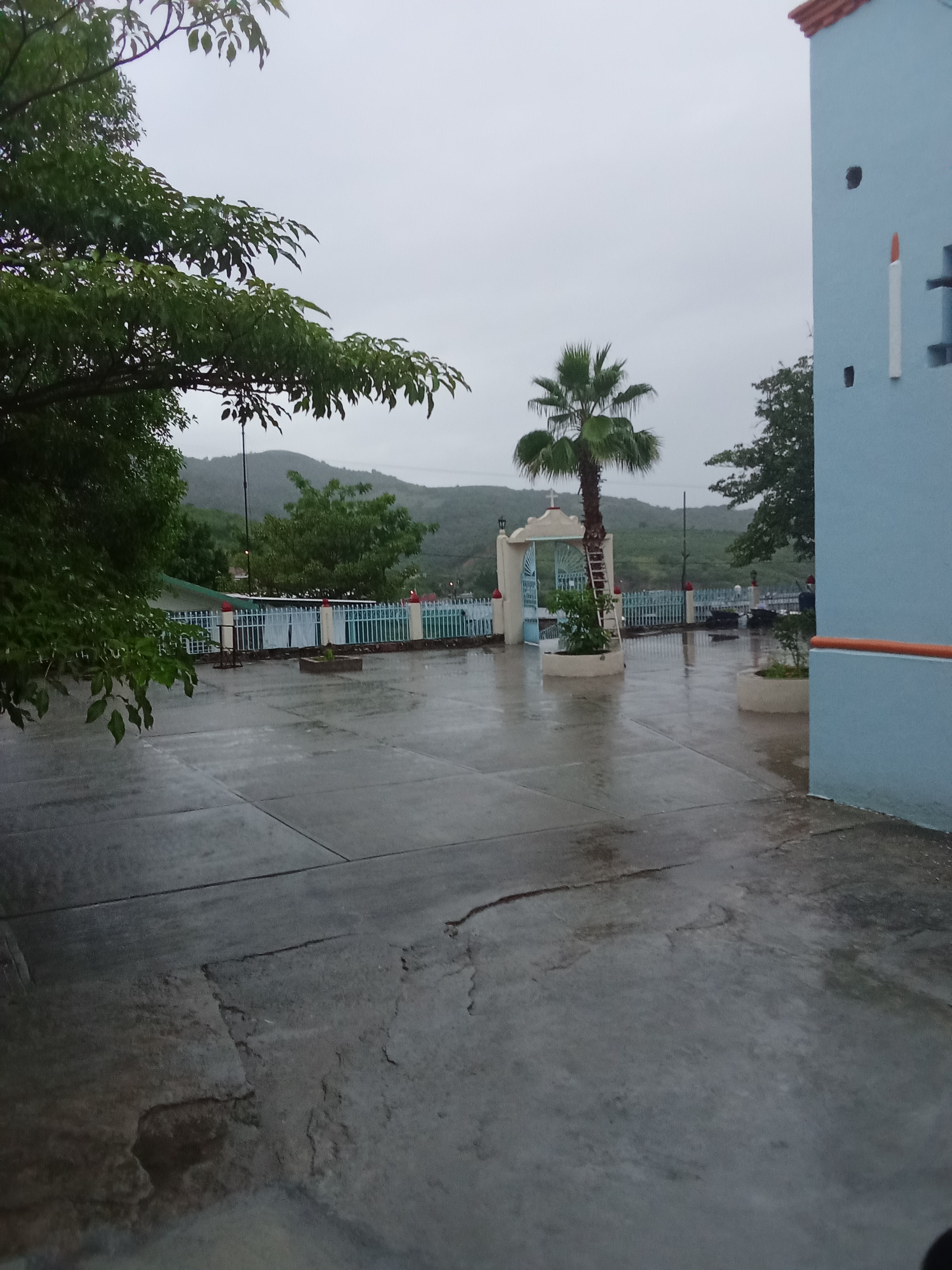 Taquería Mateos image 5