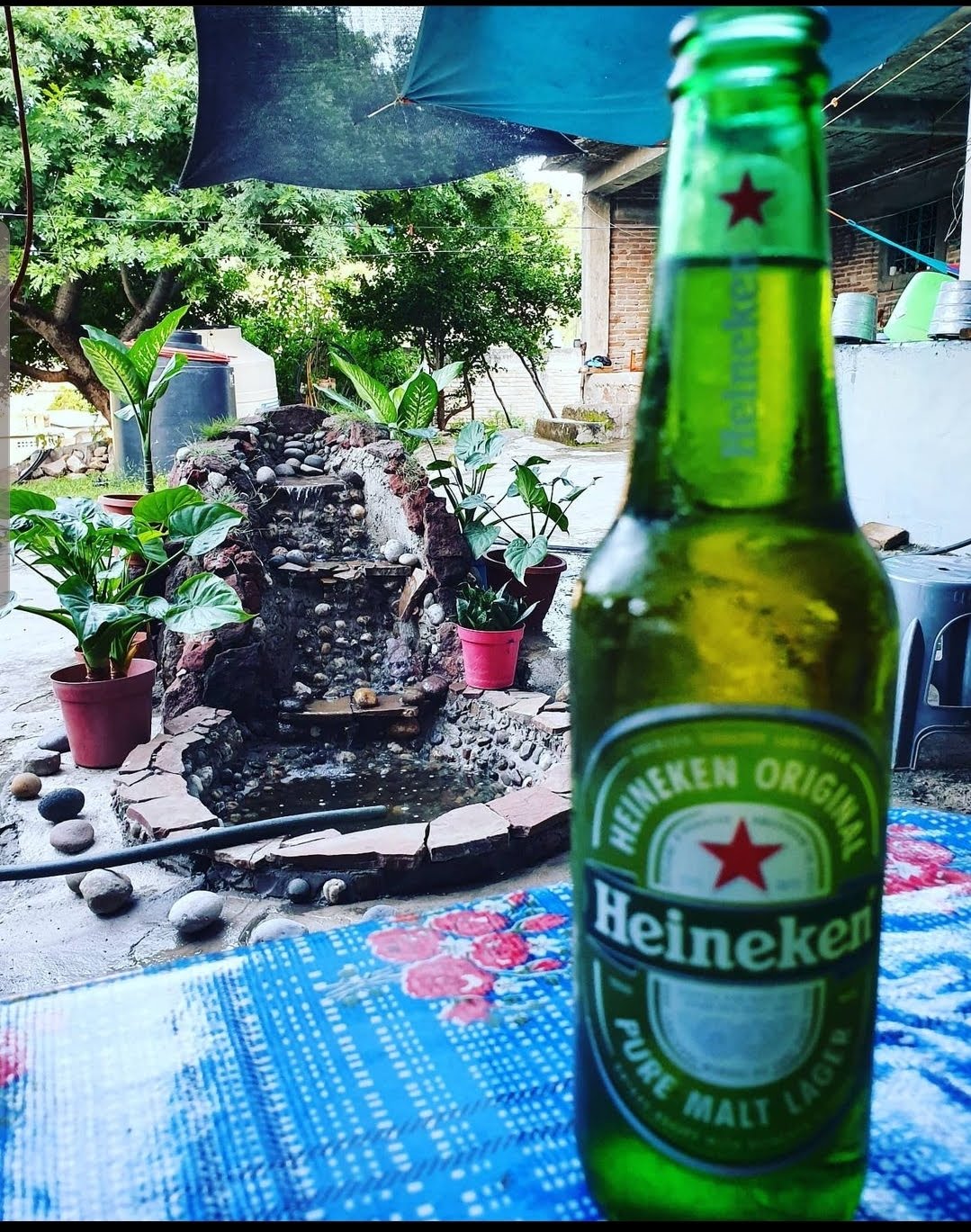 Taquería Mateos image 6