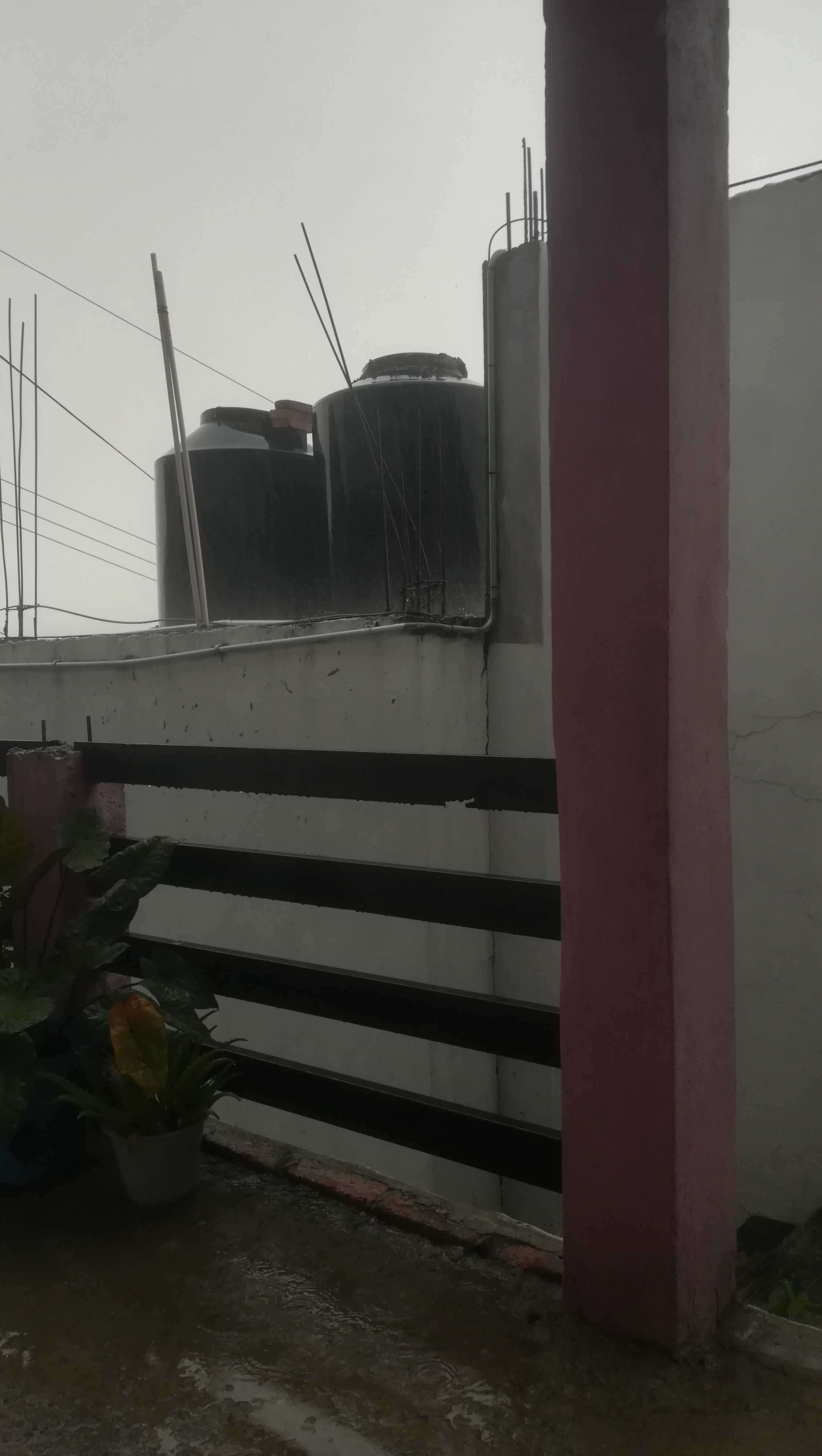 El Chivito Bravo image 1