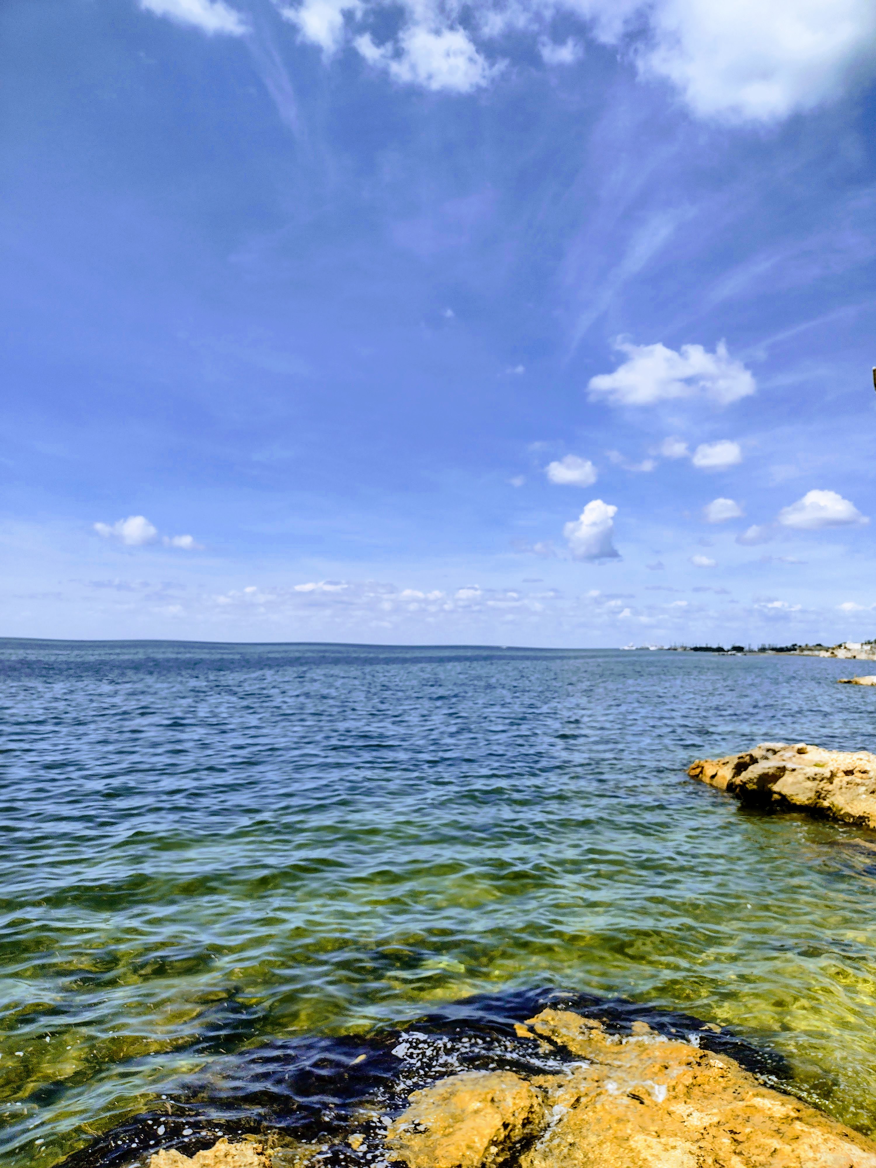 Restaurant La Uva image 10