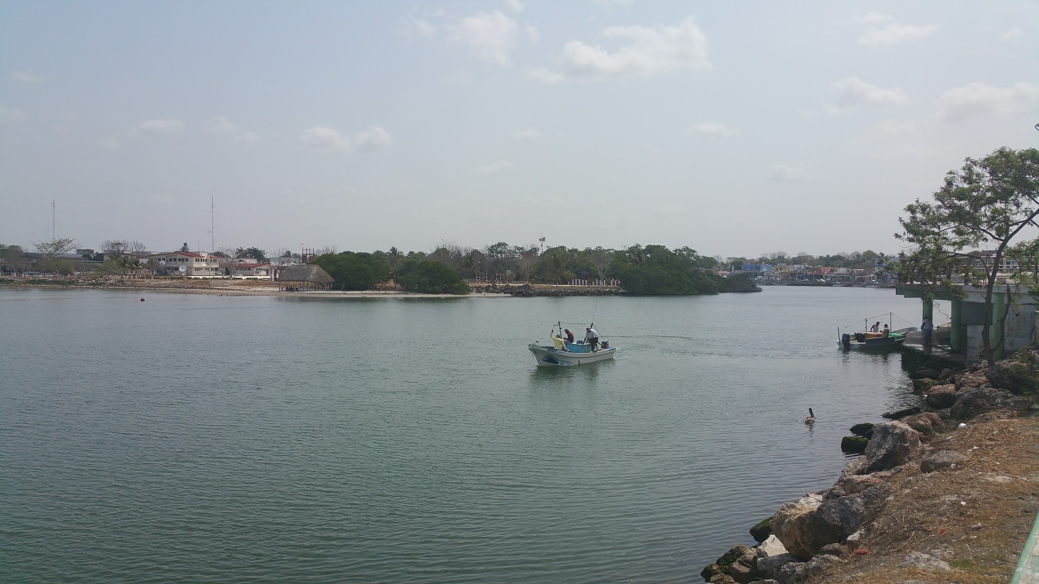 Restaurante Los Delfines image 4